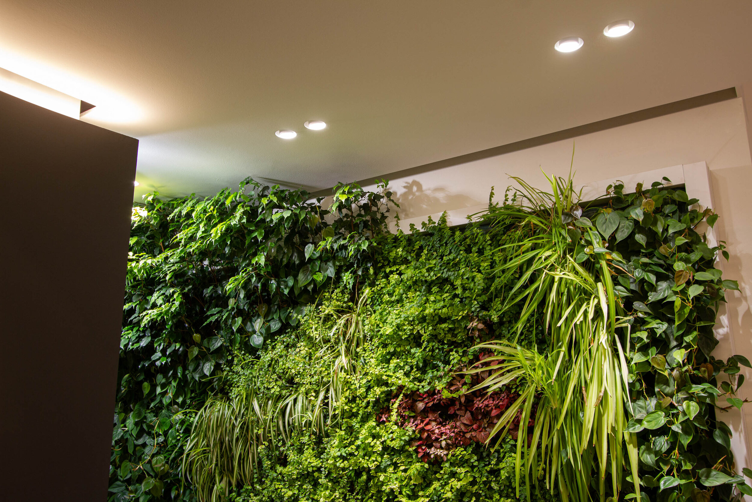 studio-cavazza-garden-vertical-wall-green-sundar-italia-005.JPG