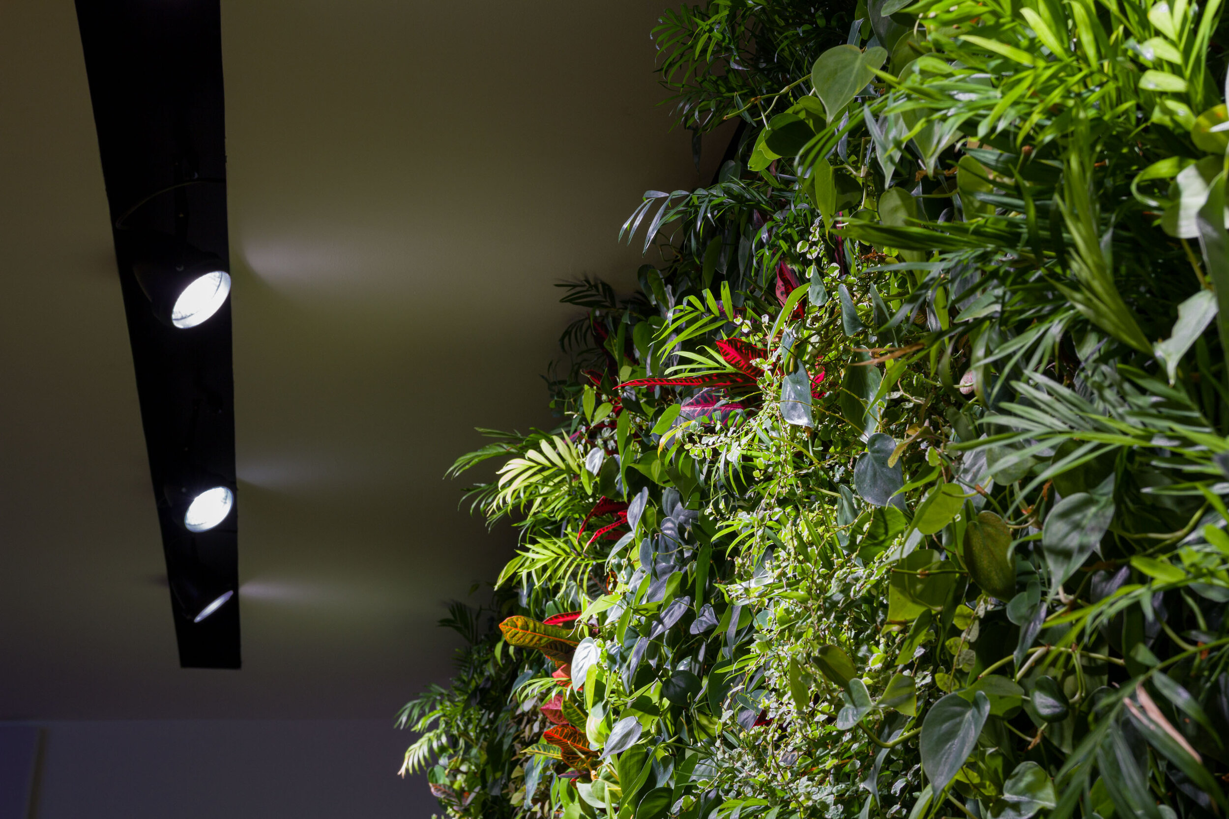 ark-funds-garden-vertical-wall-green-sundar-italia-007.JPG