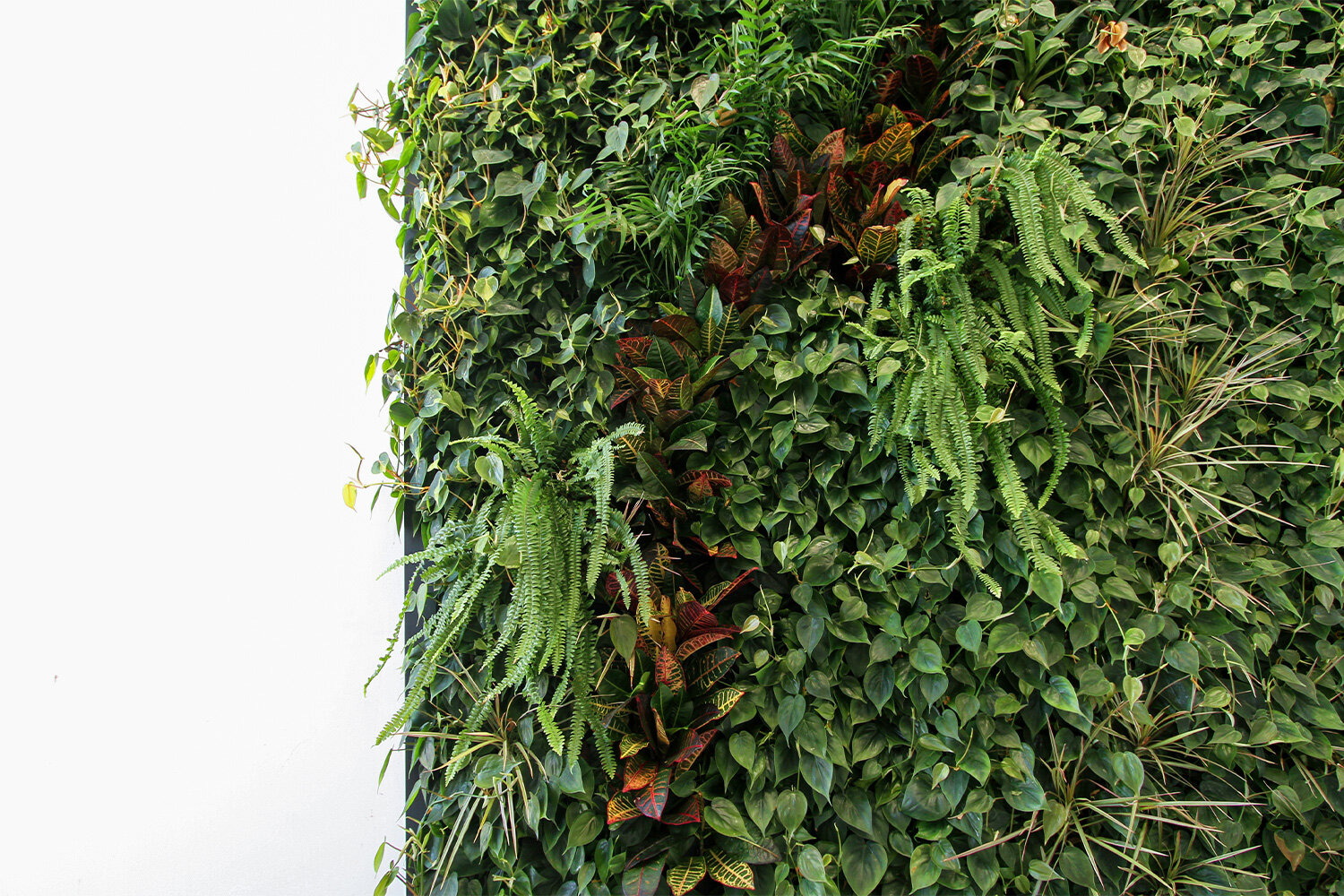 packaging-garden-vertical-wall-green-sundar-italia-002.jpg