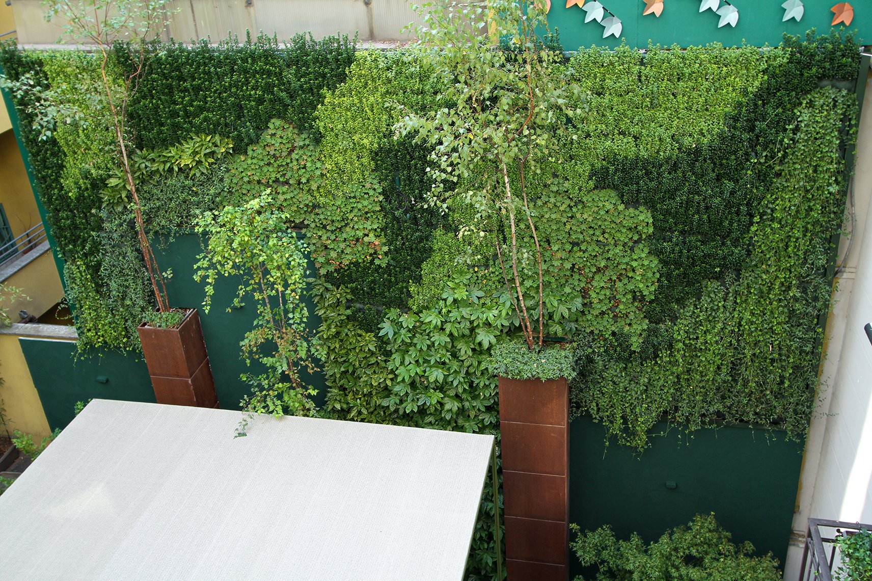 garden-rescue-vertical-wall-green-sundar-italia-011.jpg