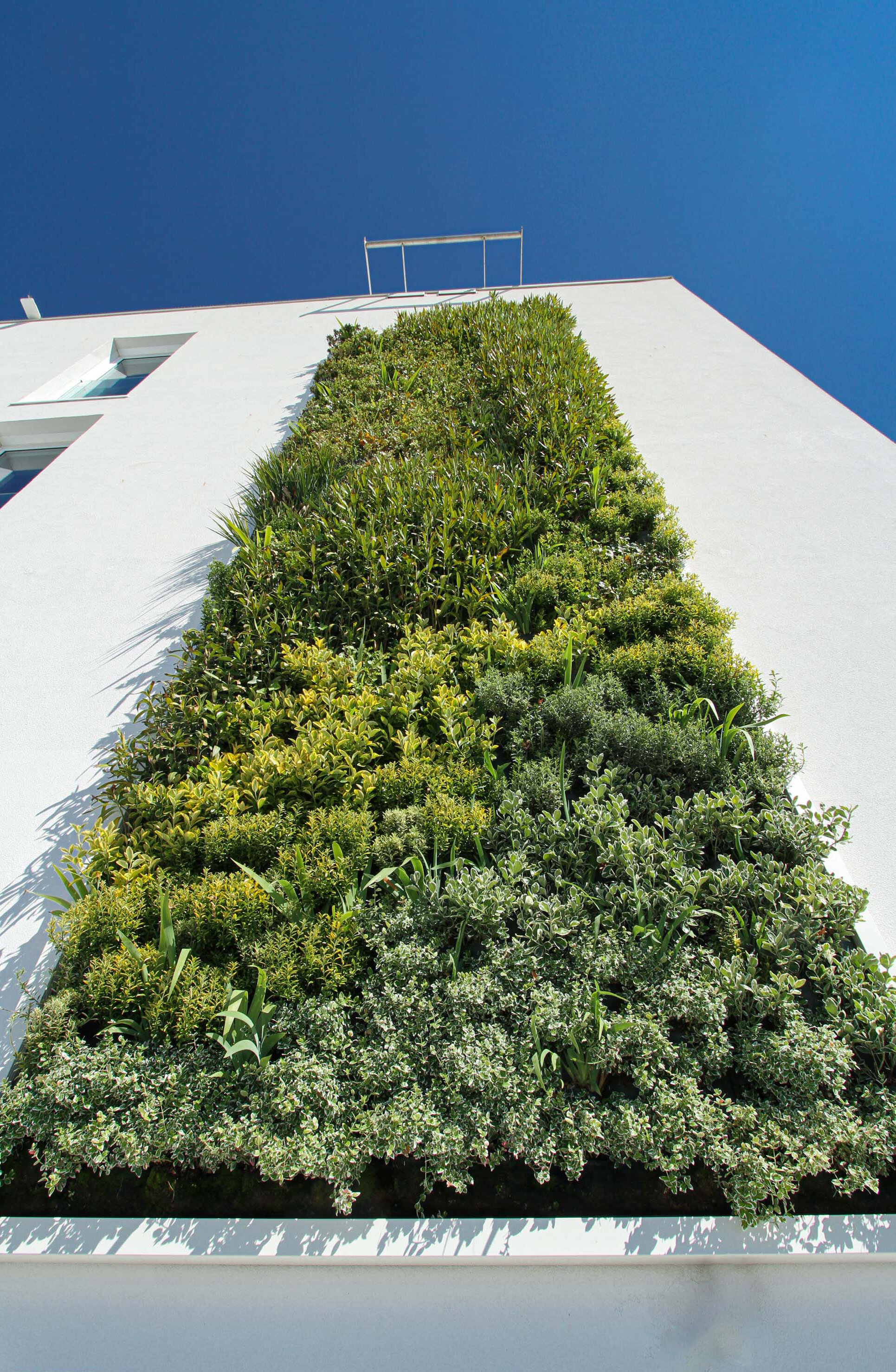 j-hotel-garden-vertical-wall-green-sundar-italia-013.JPG