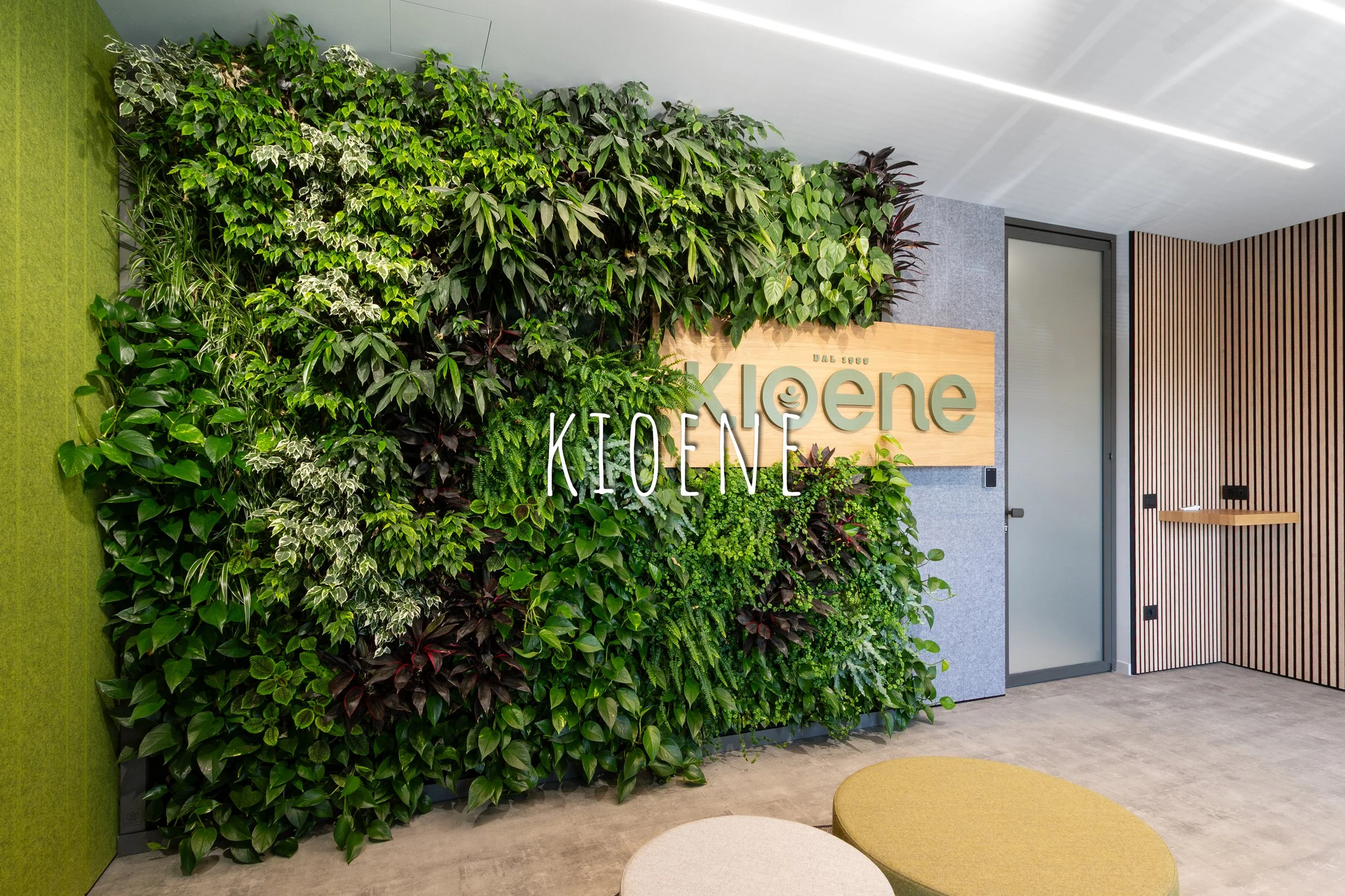 Vertical Garden, Green Wall, Interior, Non-residential, Kioene, Padua