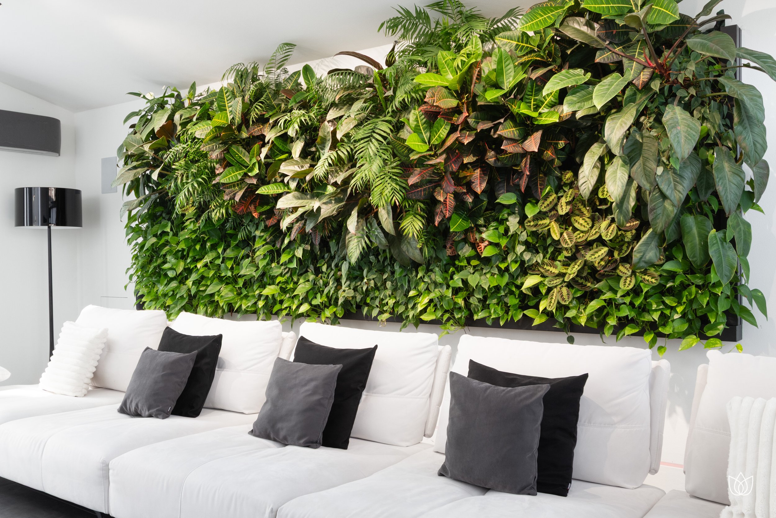 Living room with a large wall of green plants behind a white sofa with black and gray cushions.