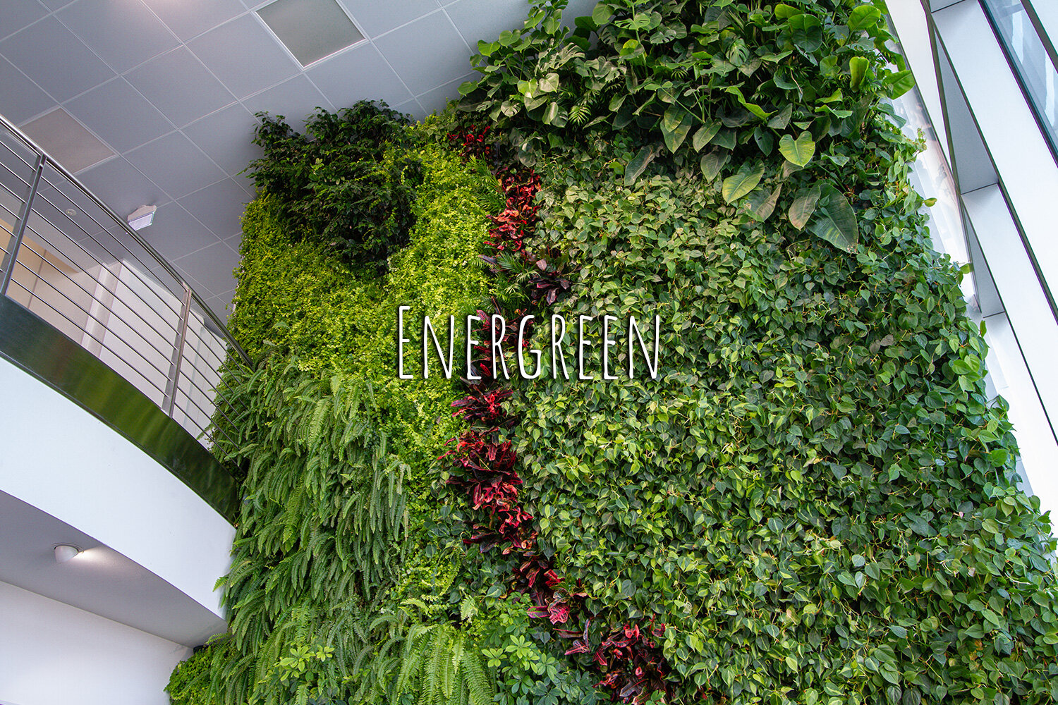 Vertical garden, Green wall, Inside, Non-residential, Energreen, Cagnano, Vicenza