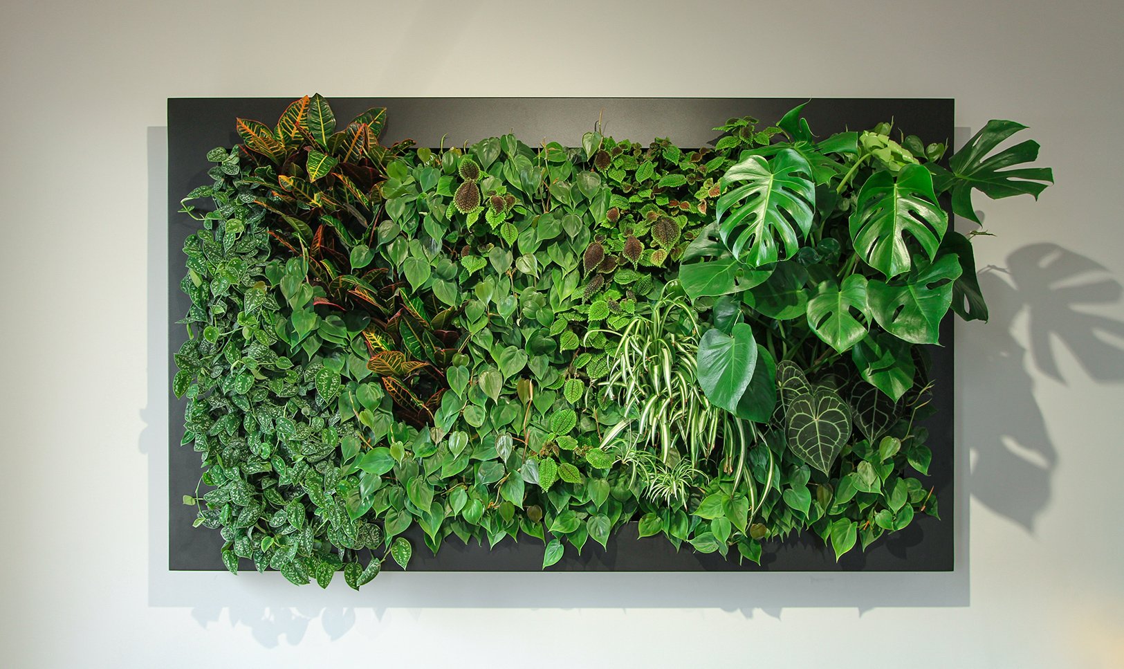 framarin-garden-vertical-wall-green-sundar-italia-001.jpg
