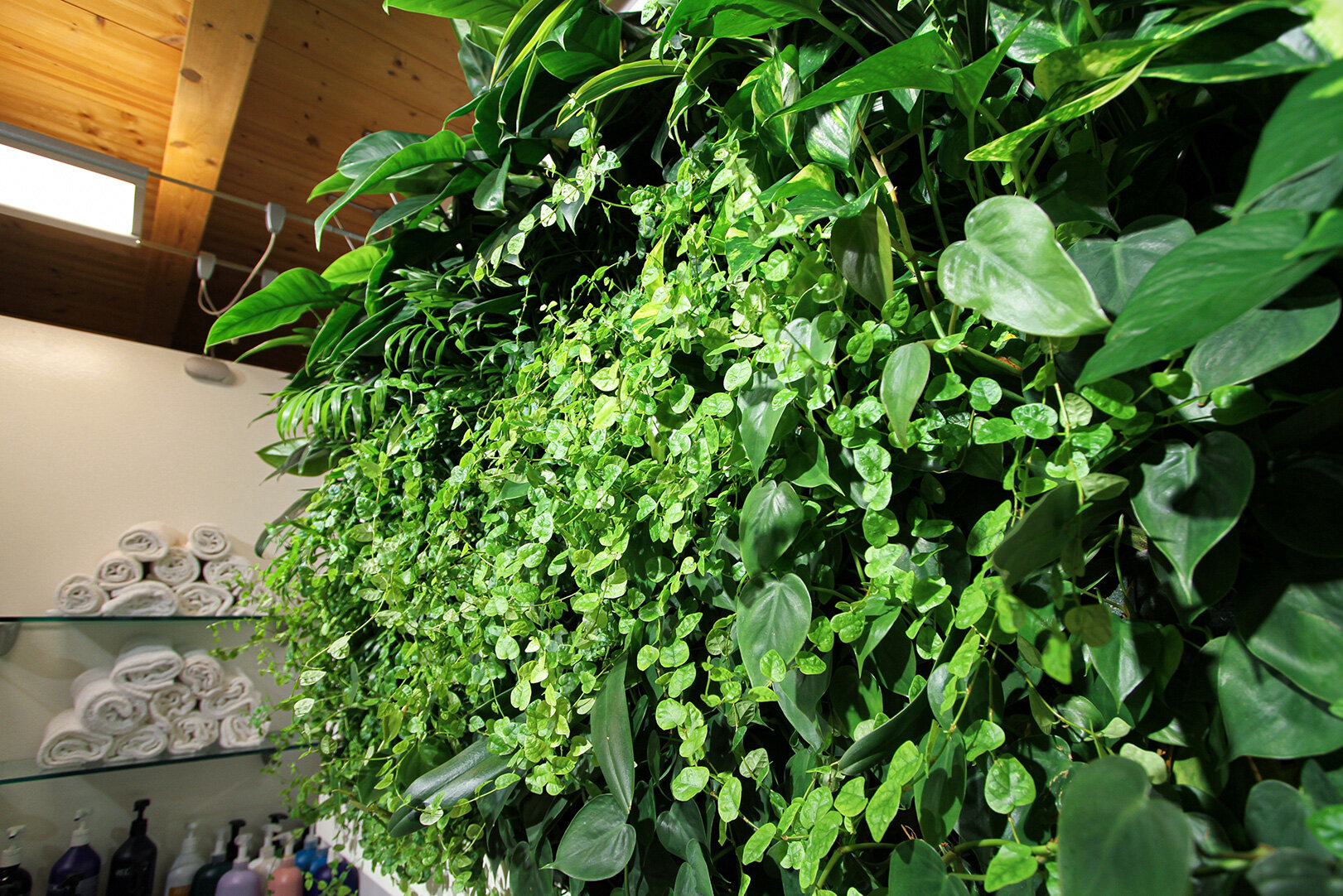 target-fashion-garden-vertical-wall-green-sundar-italia-012.jpg
