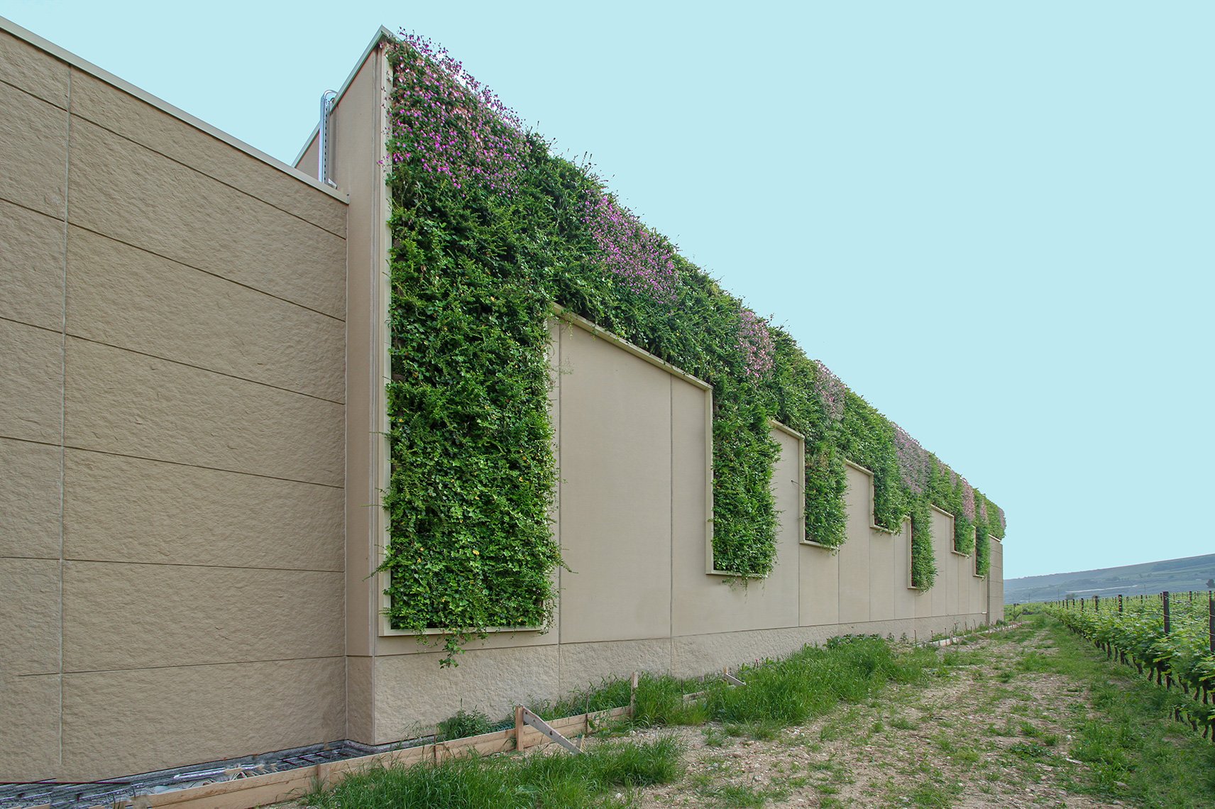 sabaini-giardino-verticale-parete-verde-sundar-italia-008.jpg