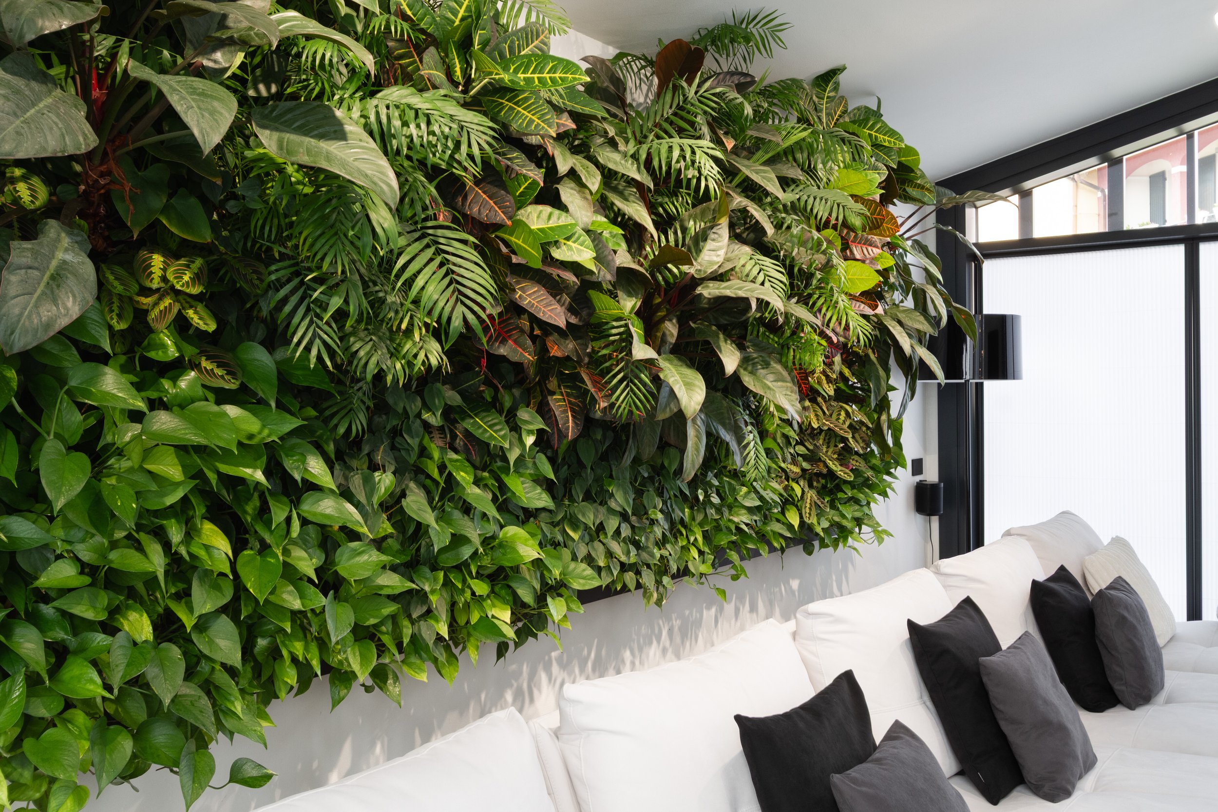 Living room with green wall composed of ornamental plants and white sofa with black and gray cushions.