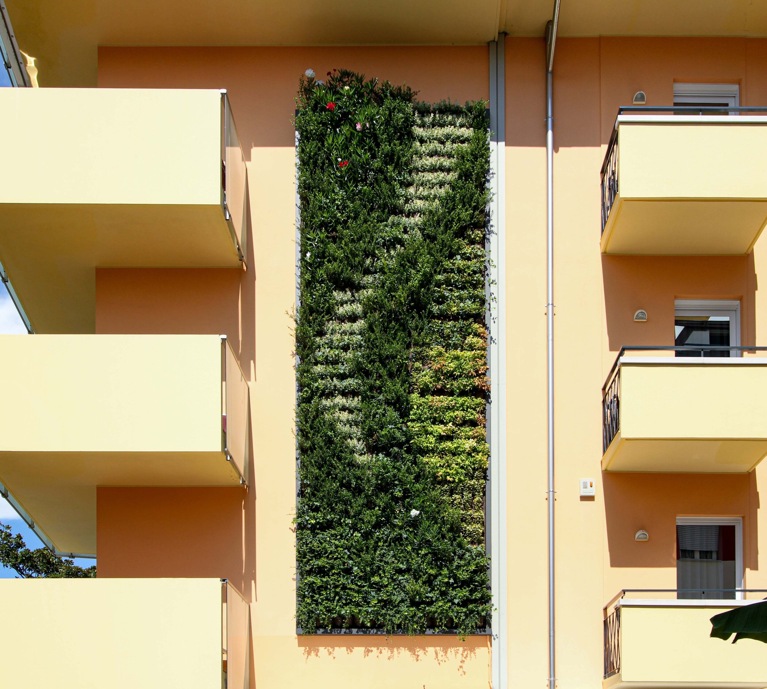 daniele-hotel-garden-vertical-wall-green-sundar-italia-003.jpg