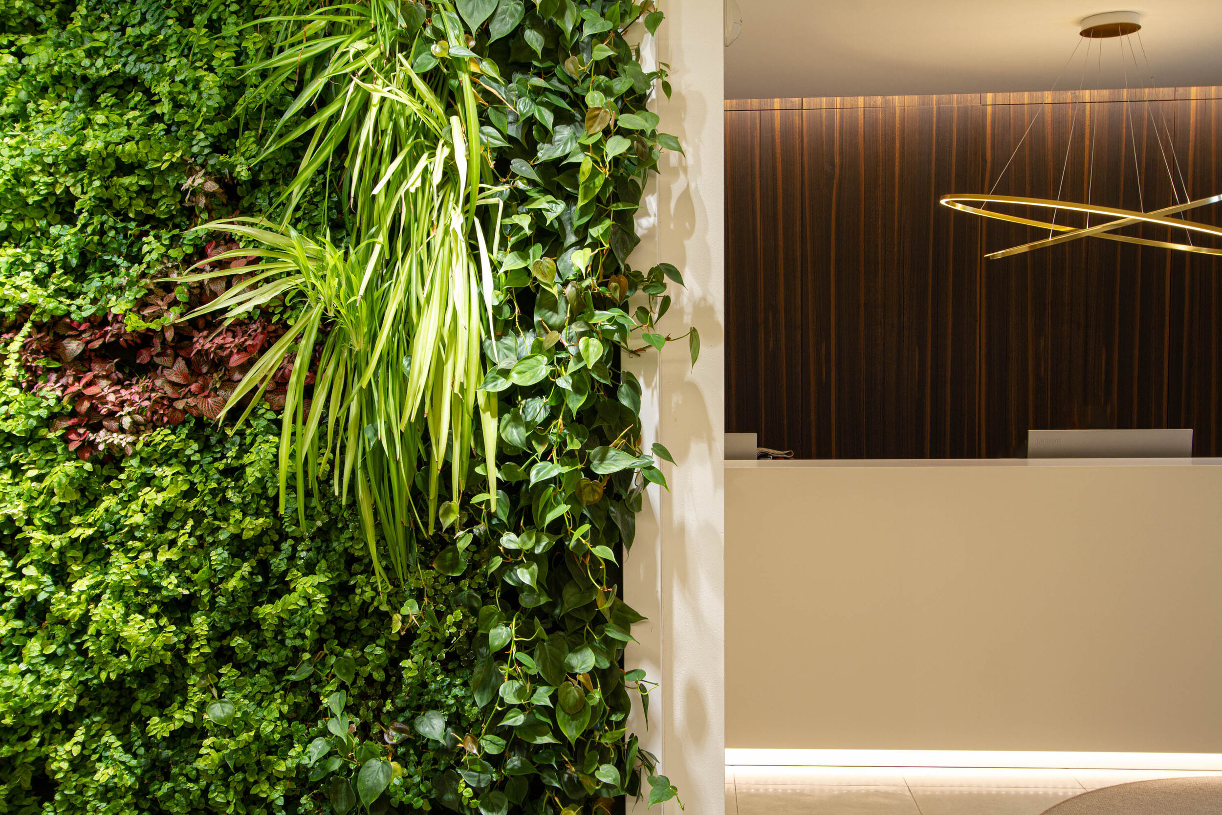 studio-cavazza-garden-vertical-wall-green-sundar-italia-006.JPG