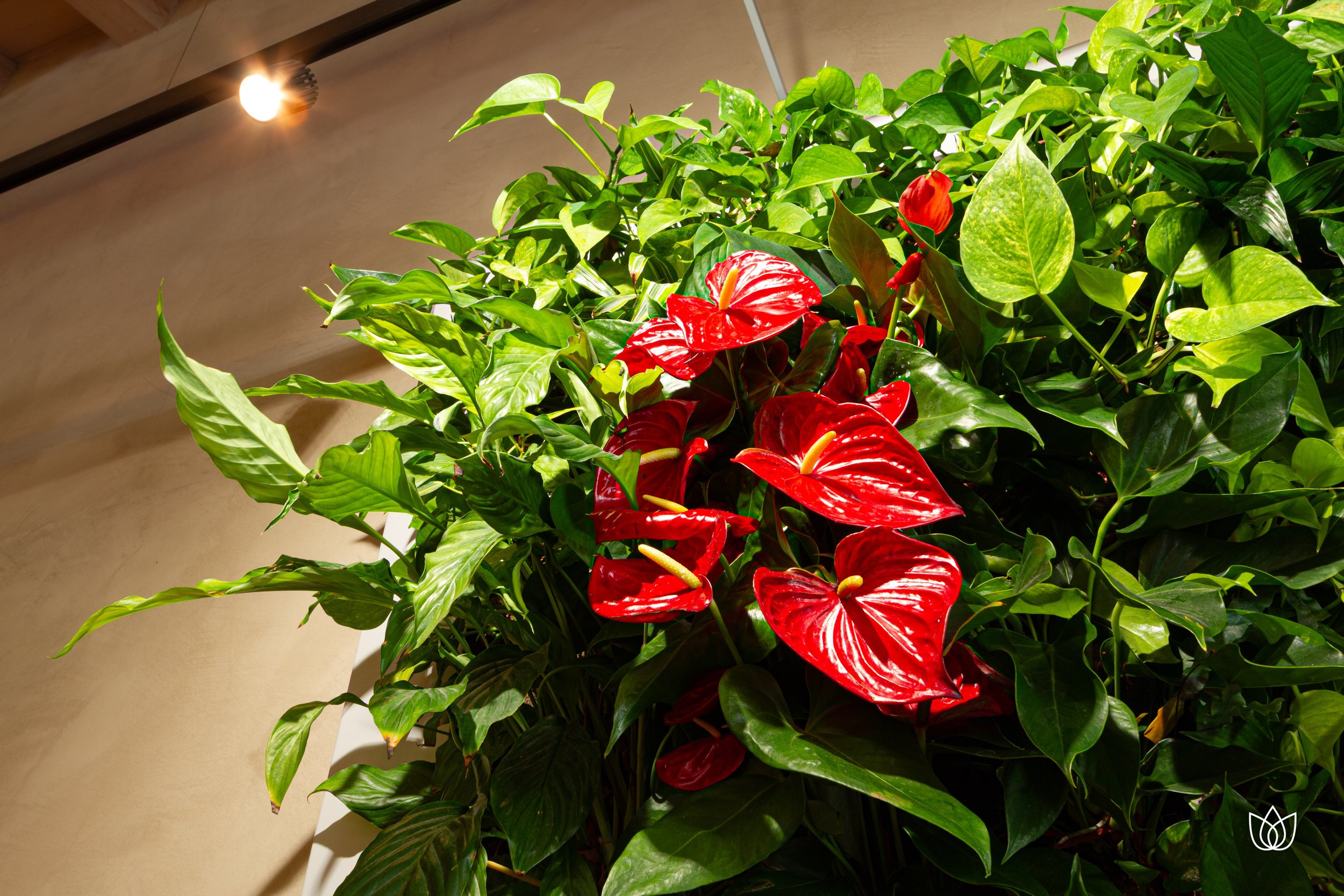 Locanda-Mamagio-Quadro-Vegetale-Sundar-Italia-Giardini-Verticali-06.jpg