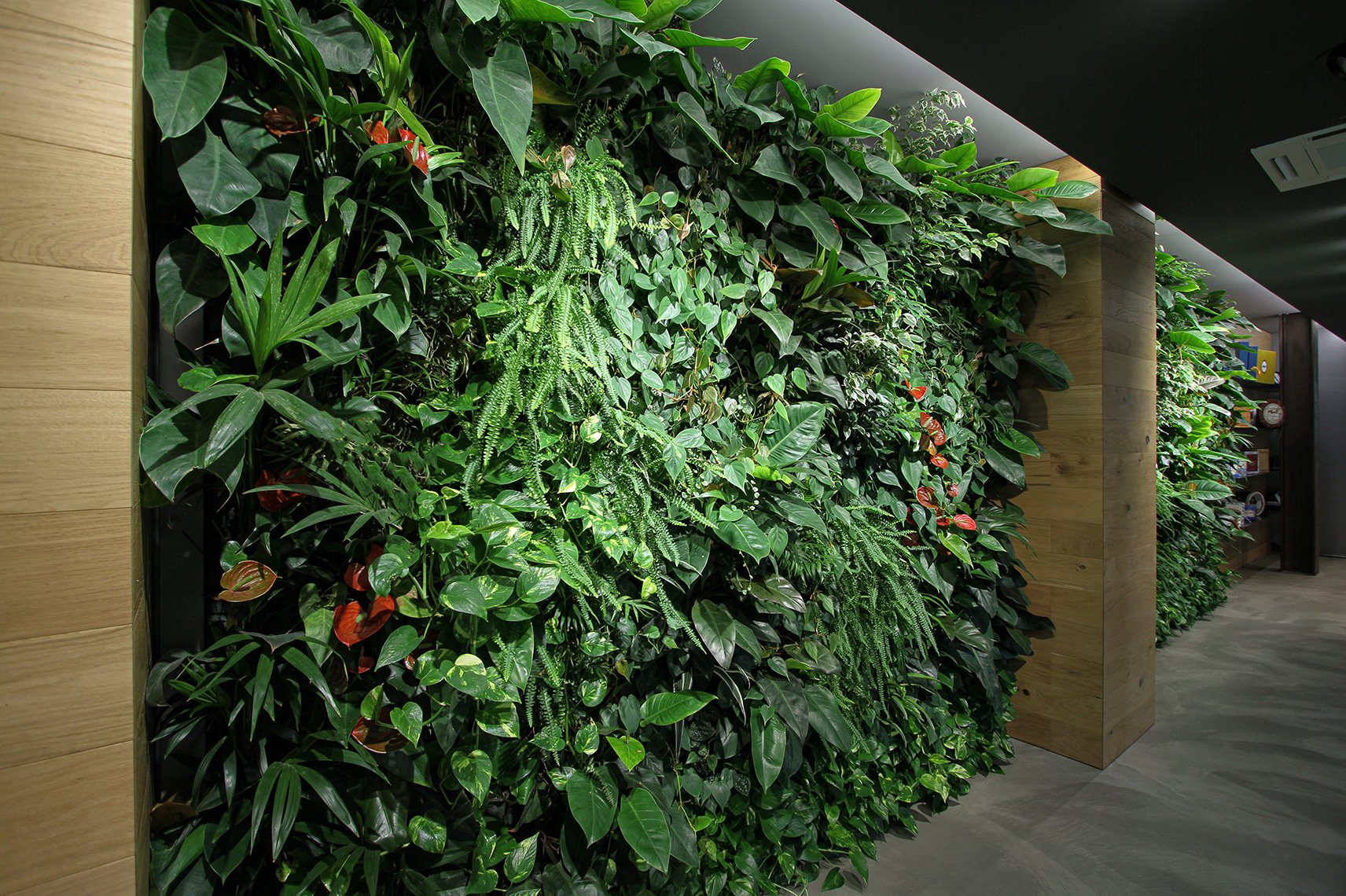 borsari-garden-vertical-wall-green-sundar-italia-003.jpg