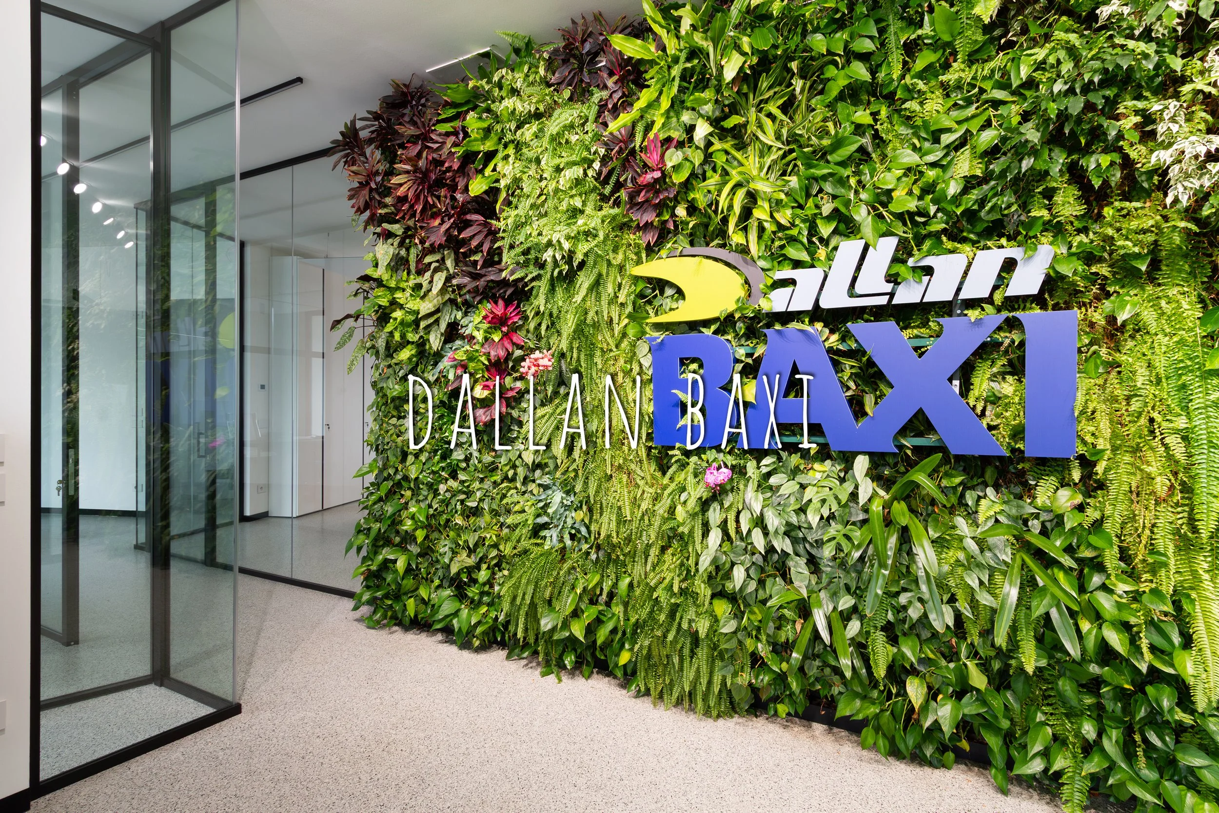 Vertical Garden, Green Wall, Interior, Non-residential, Dallan Baxi, Castelfranco Veneto, Treviso