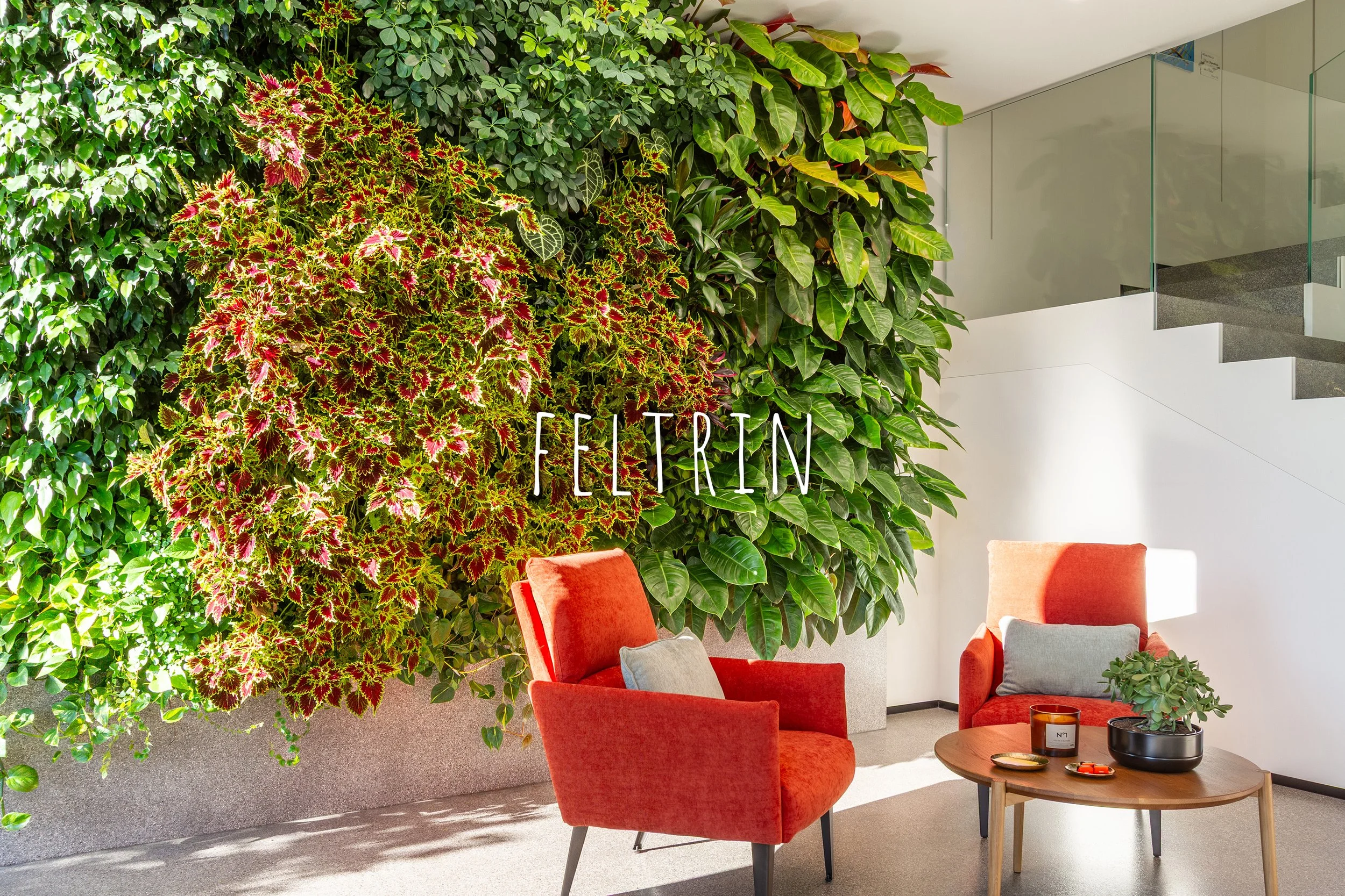 Vertical Garden, Green Wall, Interior, Non-residential, Feltrin, Treviso