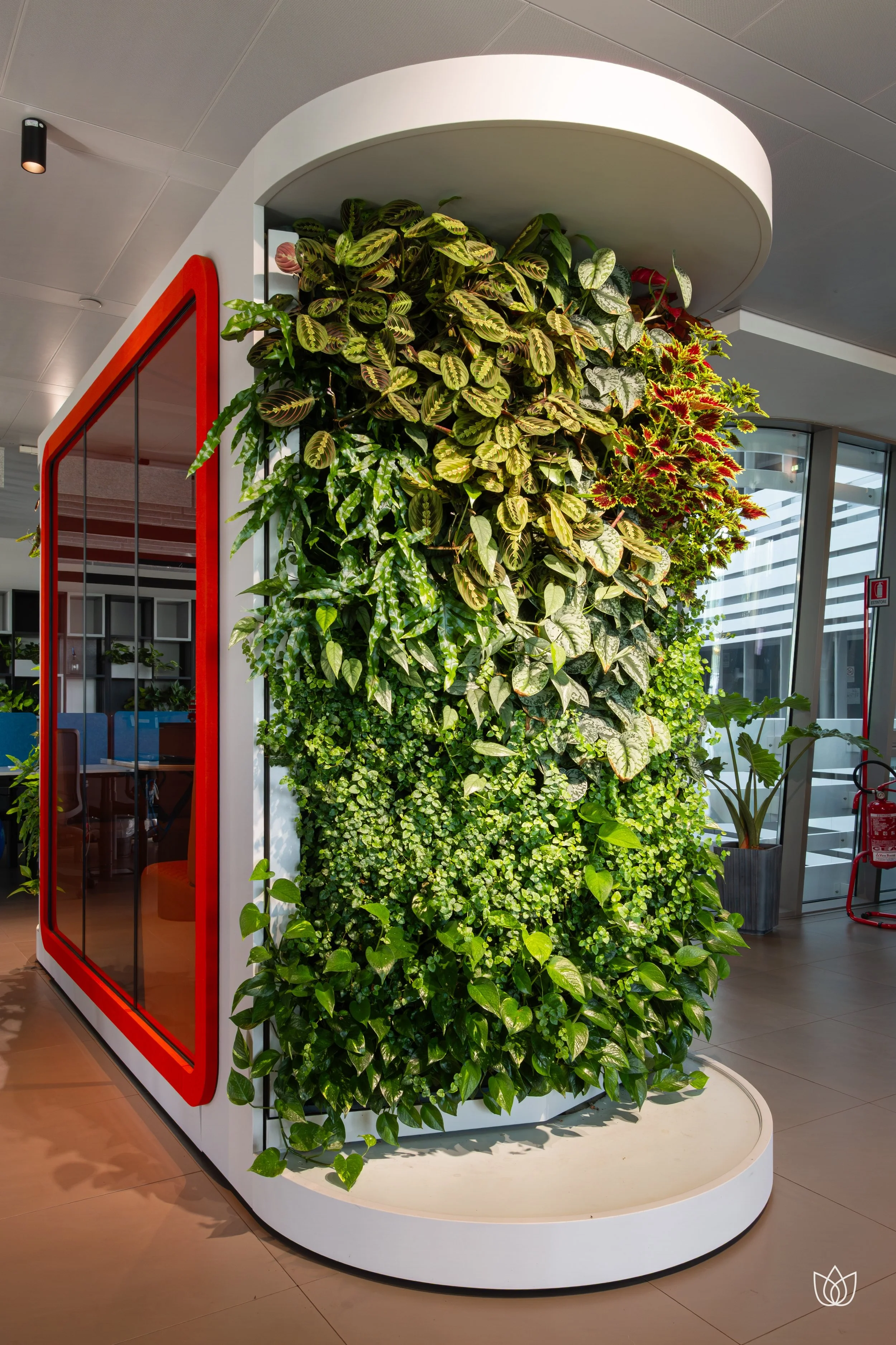 Muro vegetale decorativo in un ambiente interno con piante verdi e un pannello di vetro rosso e nero.
