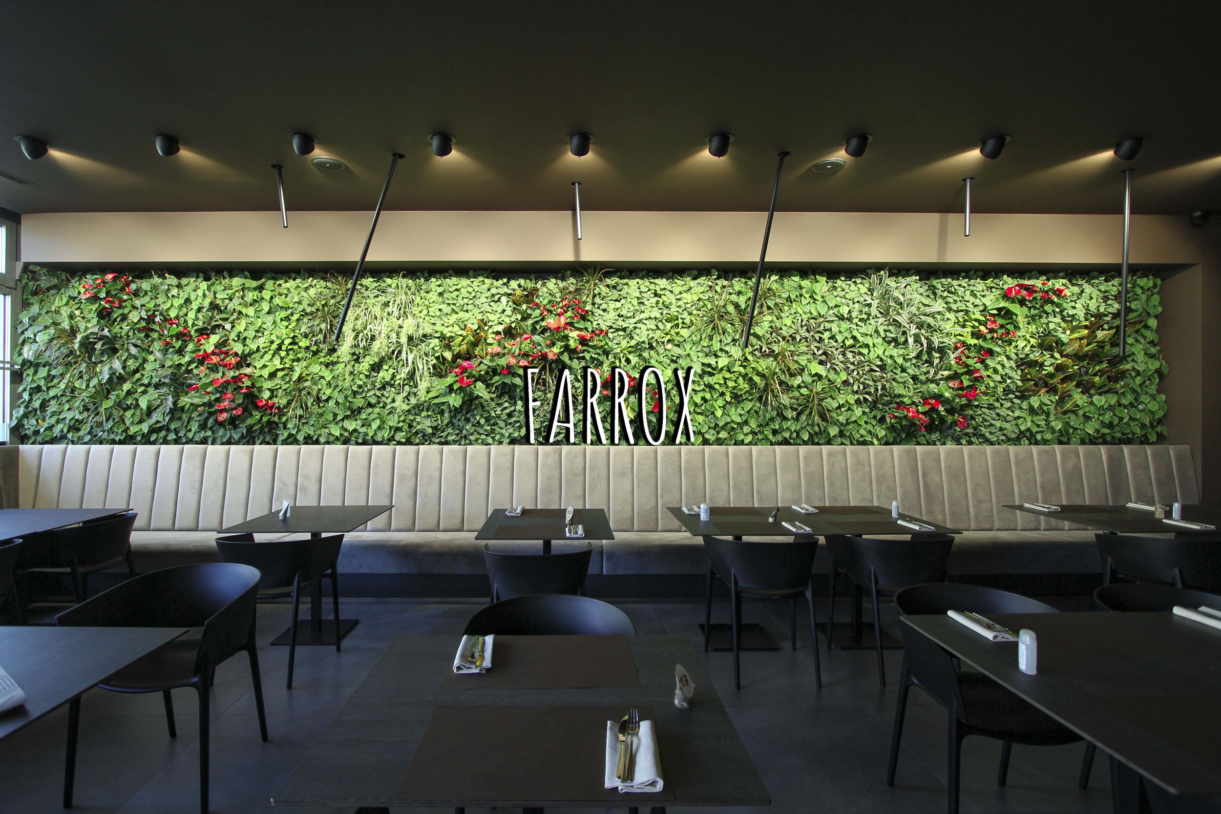 Vertical garden, Green wall, Inside, Non-residential, Pizzeria Farrox, Isola della Scala, Verona