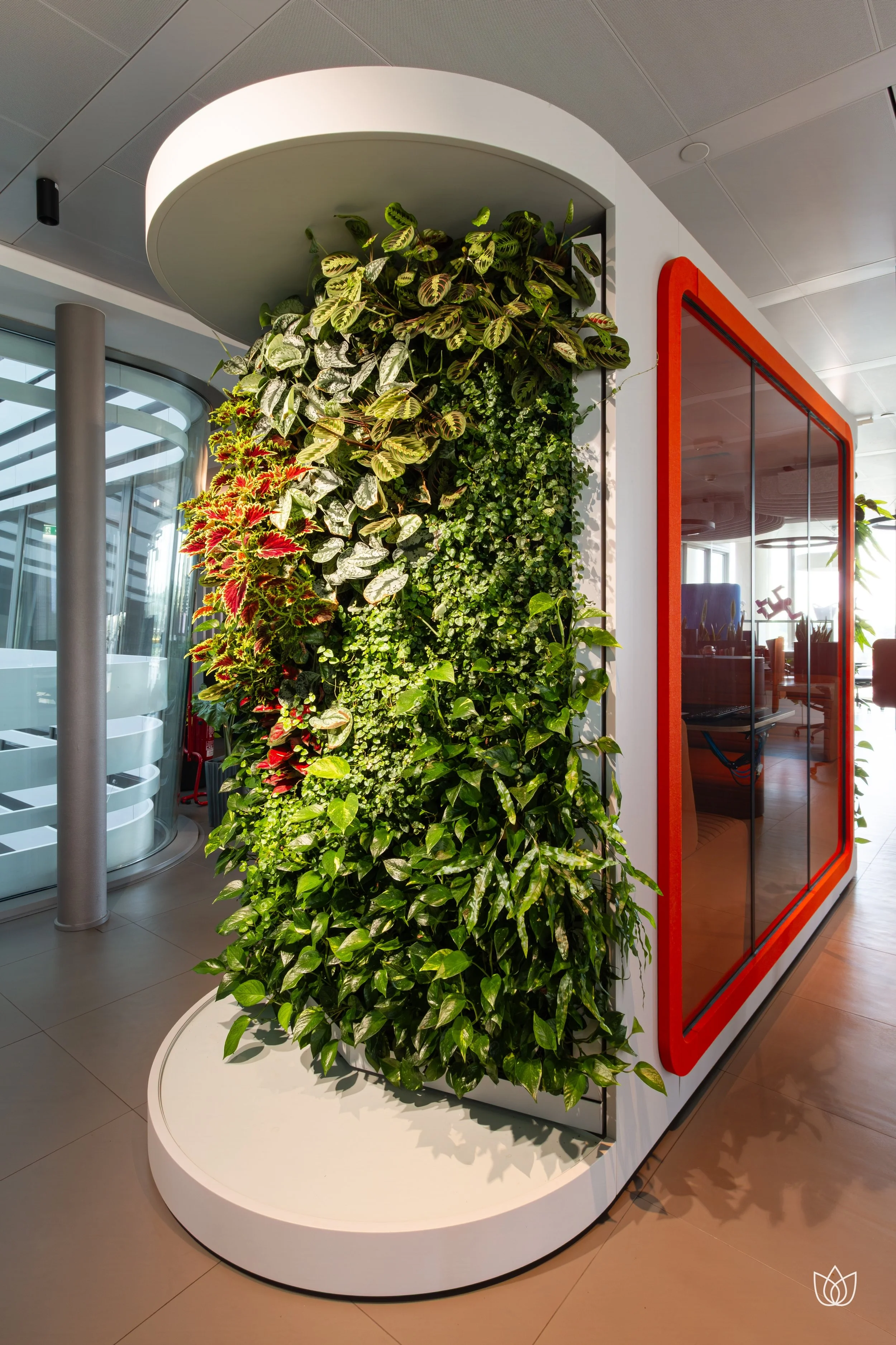 piante verdi decorative in un ambiente moderno