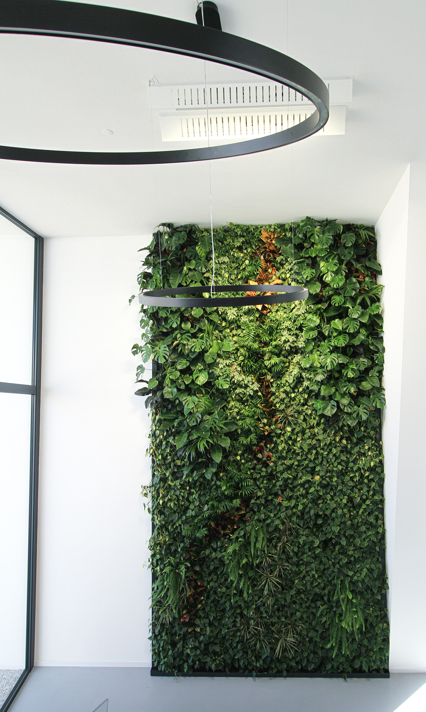 packaging-garden-vertical-wall-green-sundar-italia-005.jpg