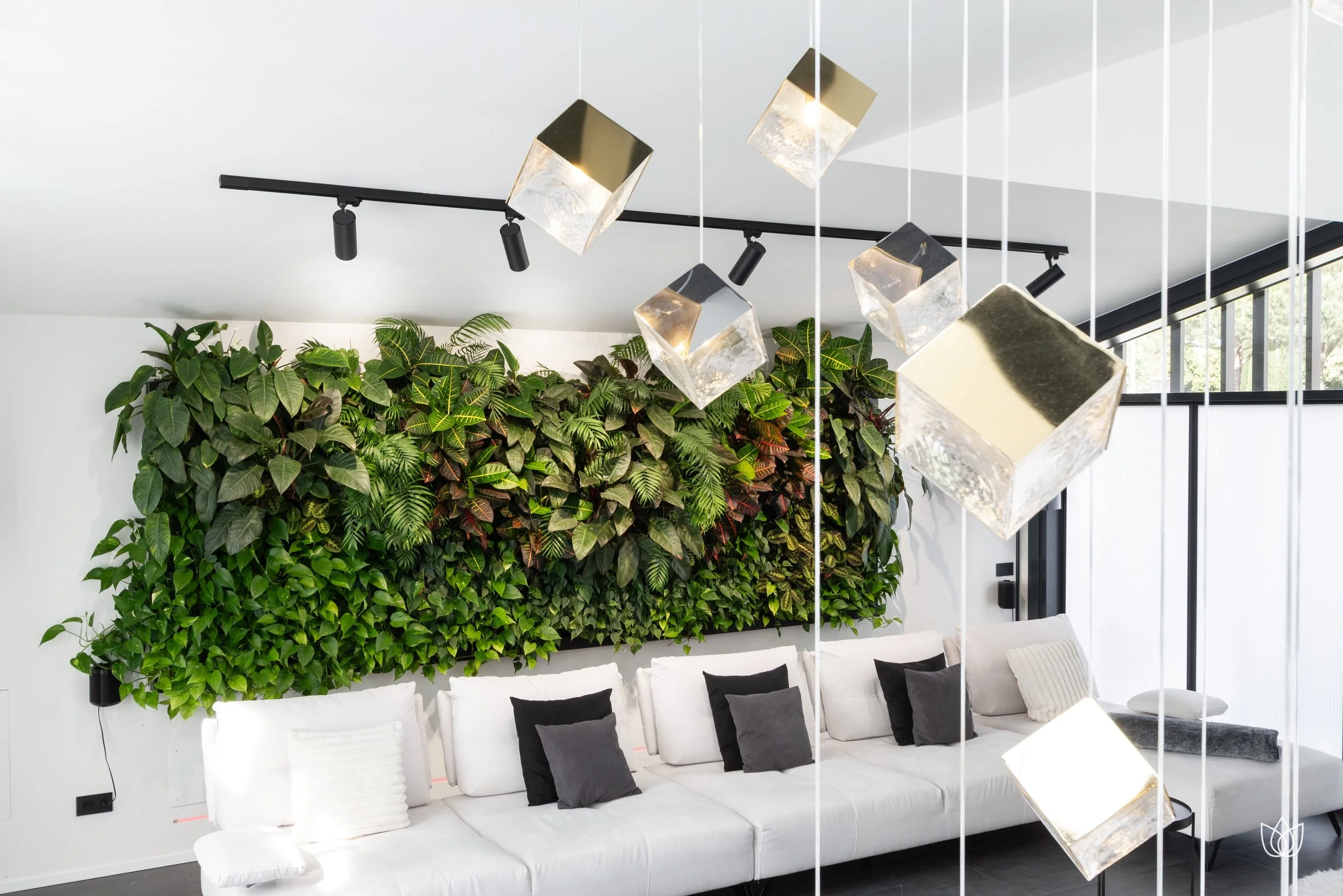 Modern living room with white sofa, black and gray cushions, green wall with plants, suspended lighting with geometric lights