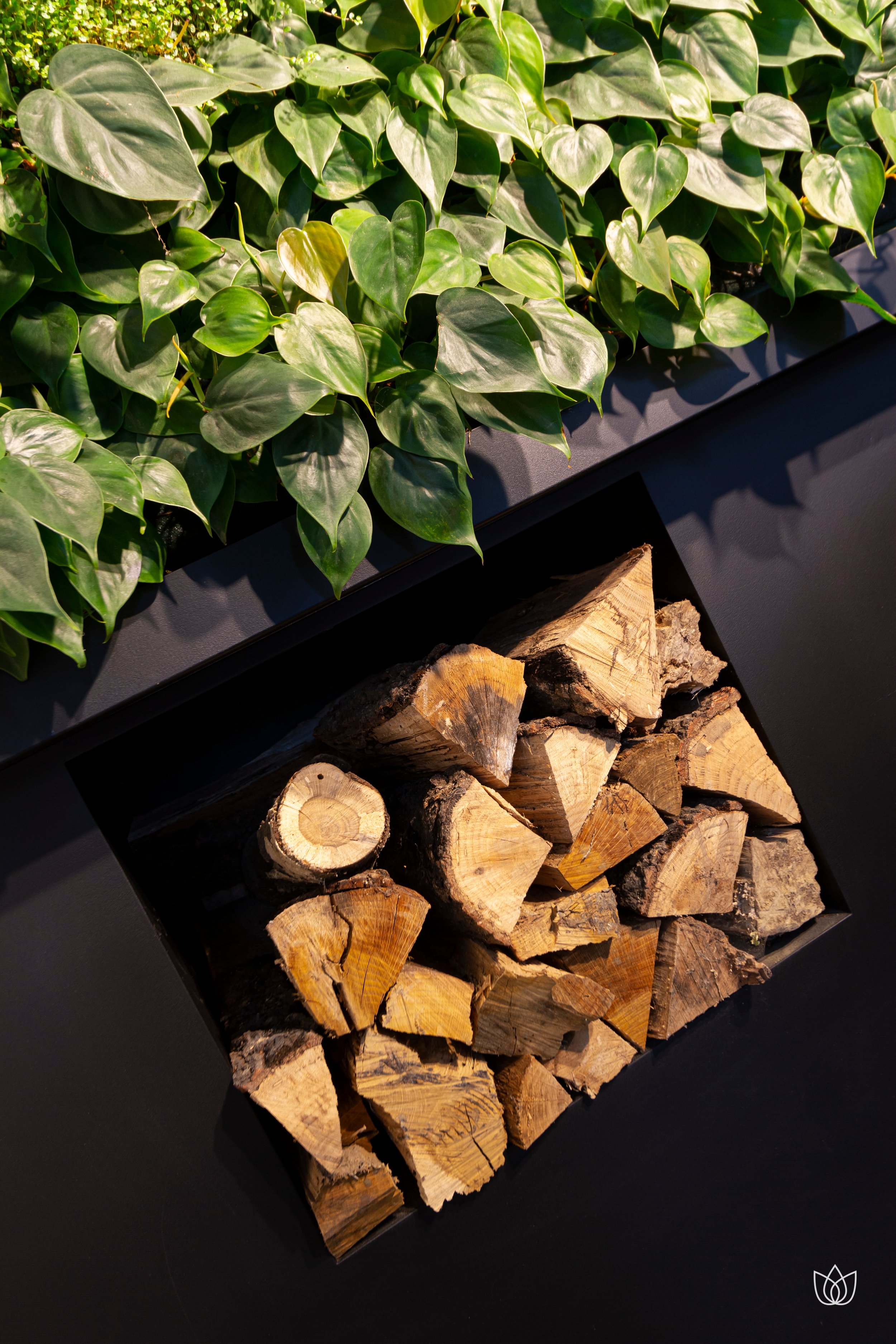 A bundle of firewood stacked in a black box and green ivy leaves growing over a black top.