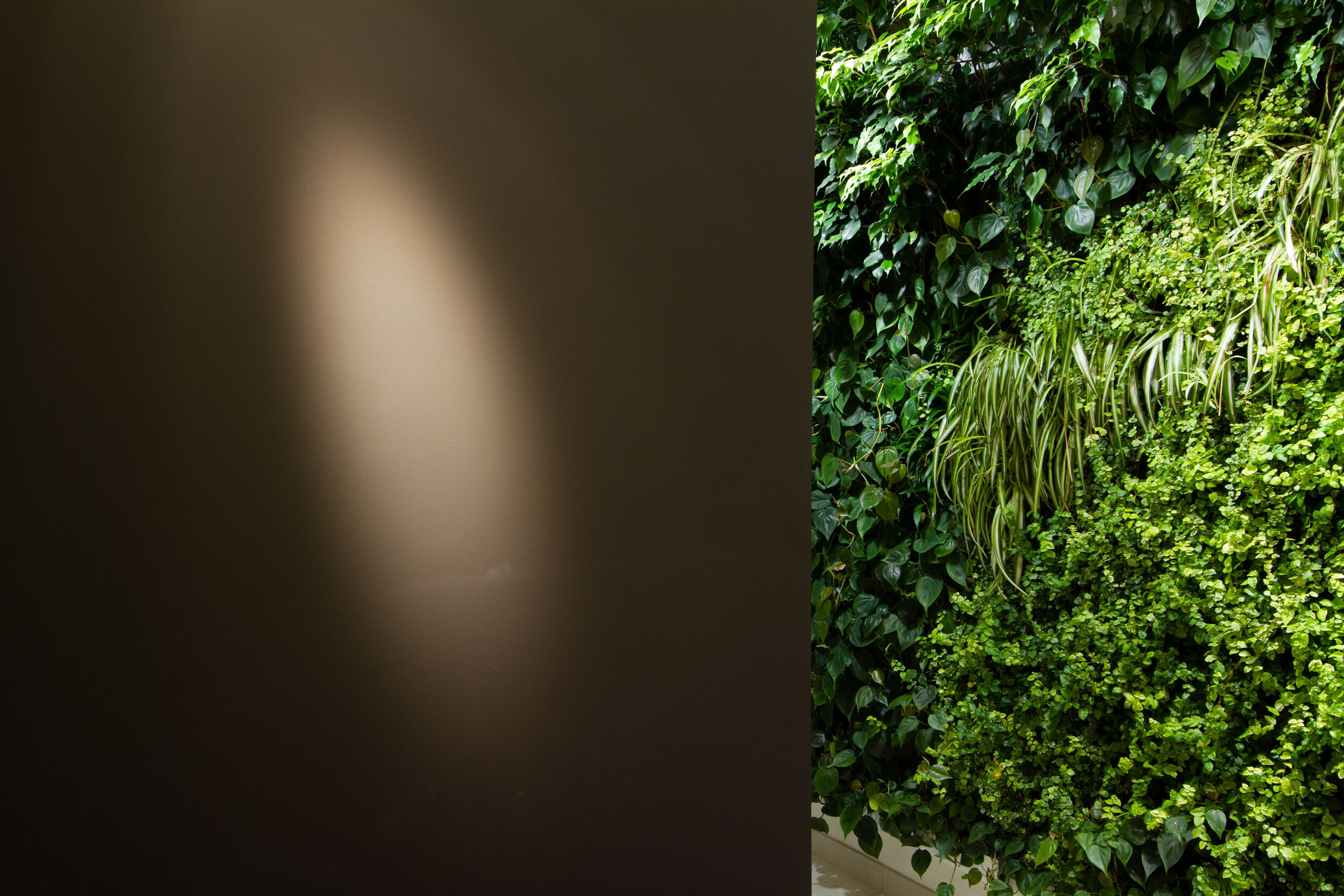 studio-cavazza-garden-vertical-wall-green-sundar-italia-004.JPG