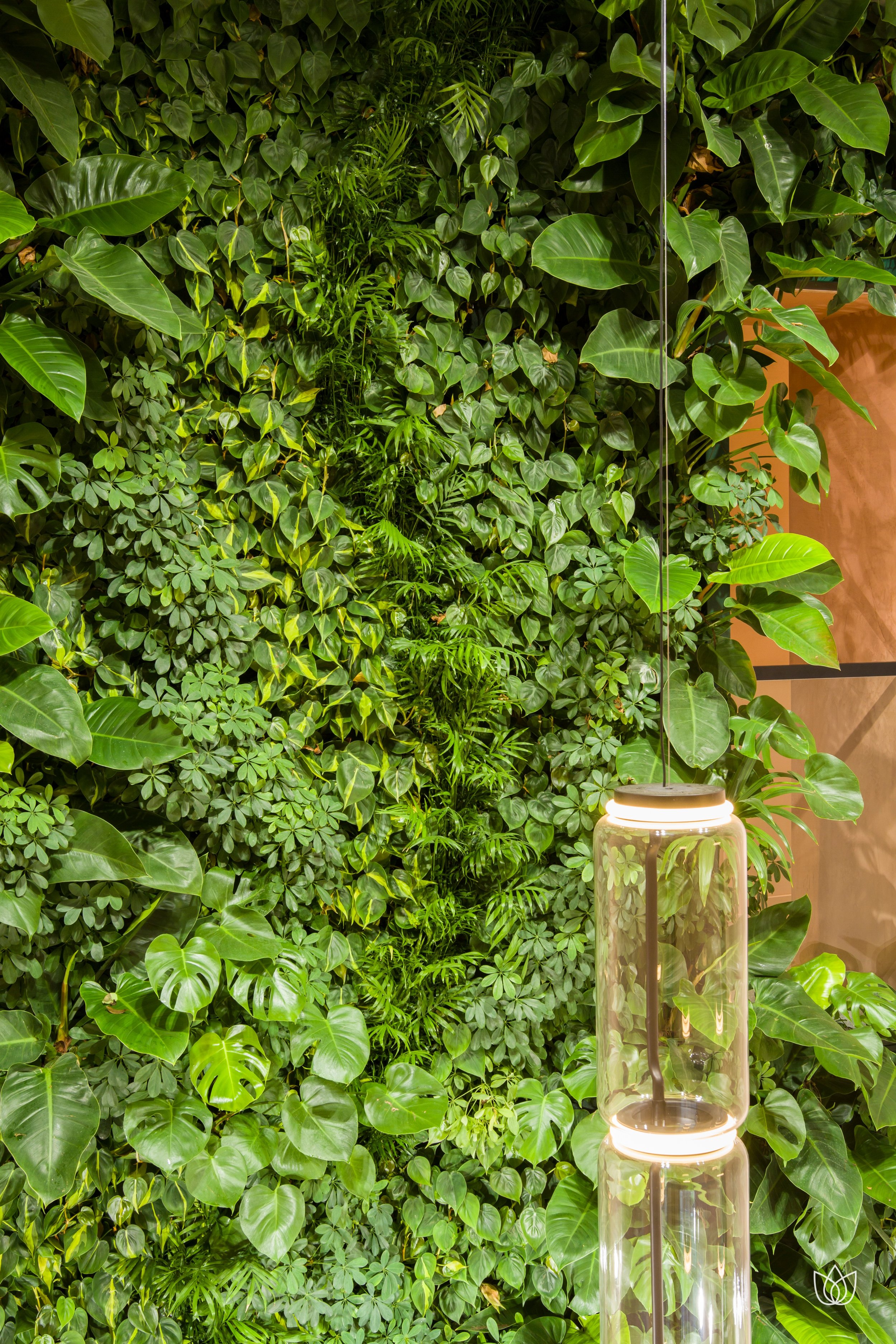 Wall of plant walls with various green plants and a decorative glass lamp.