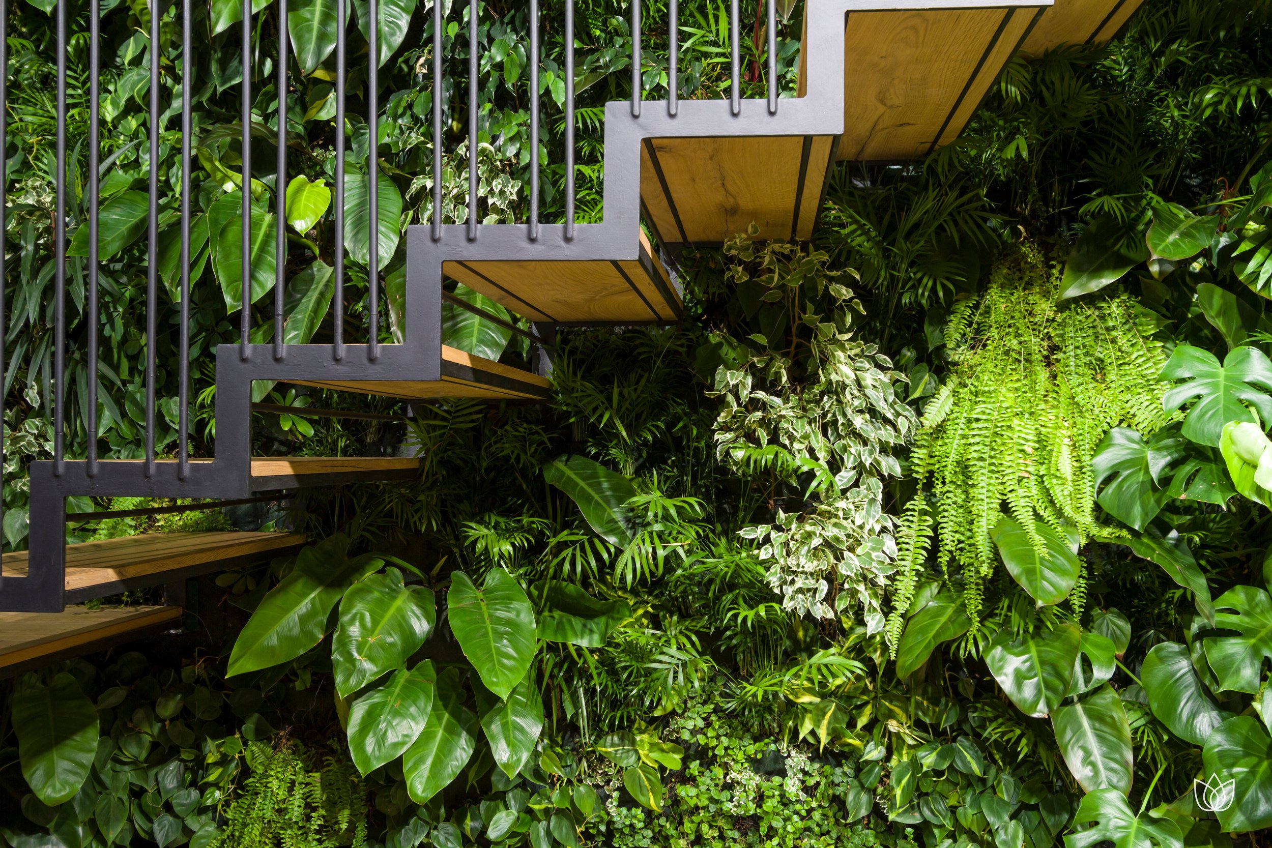 Steps of metal and wood surrounded by a wall of green plants.