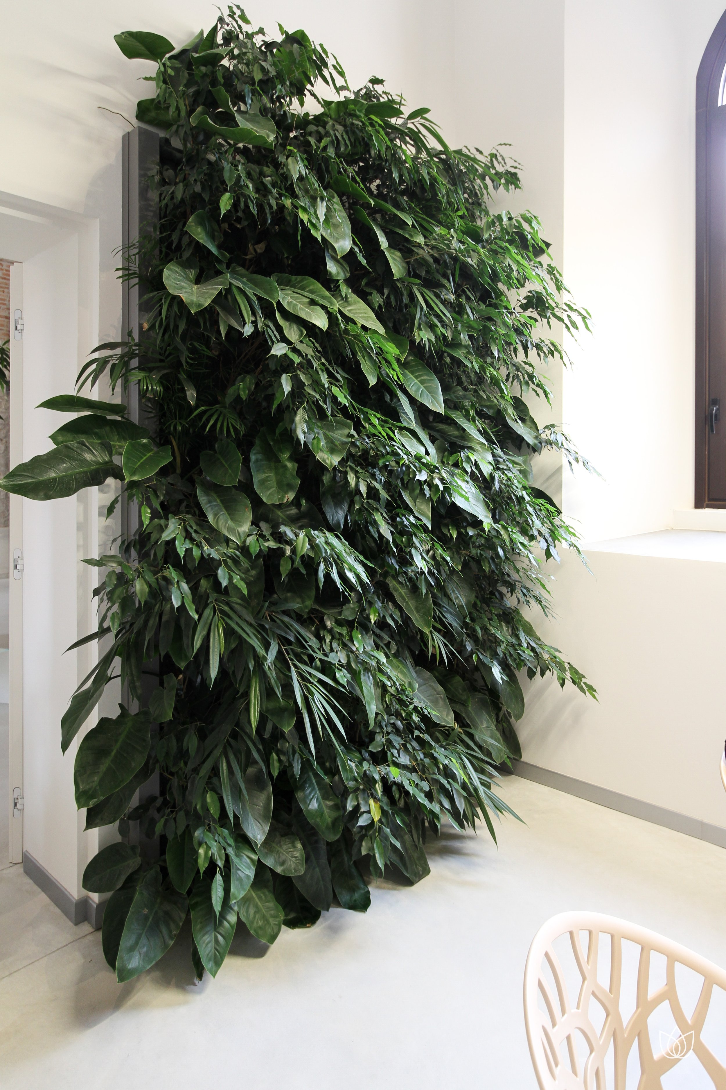 Large green plant inside a building near a window.