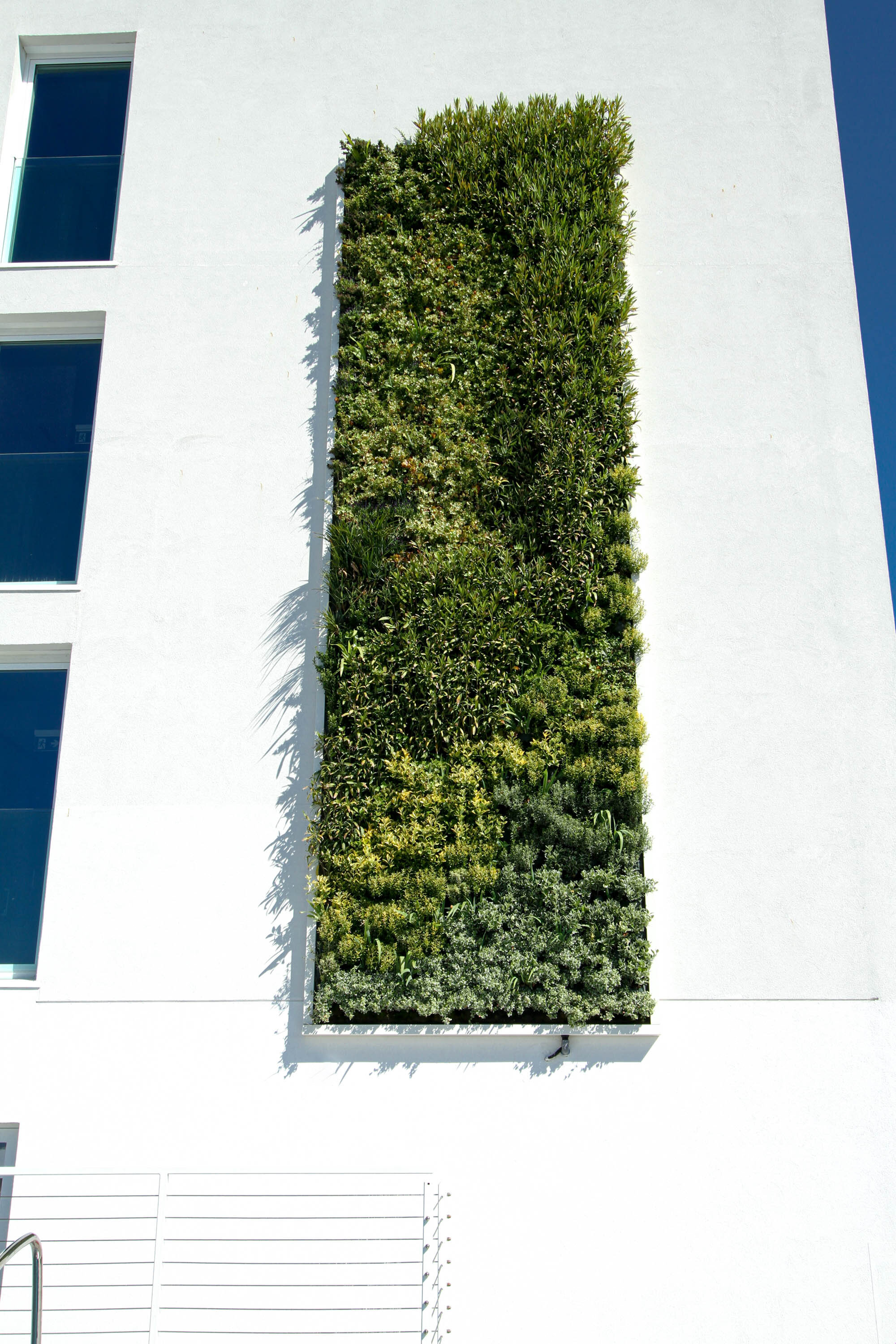 j-hotel-garden-vertical-wall-green-sundar-italia-011.JPG
