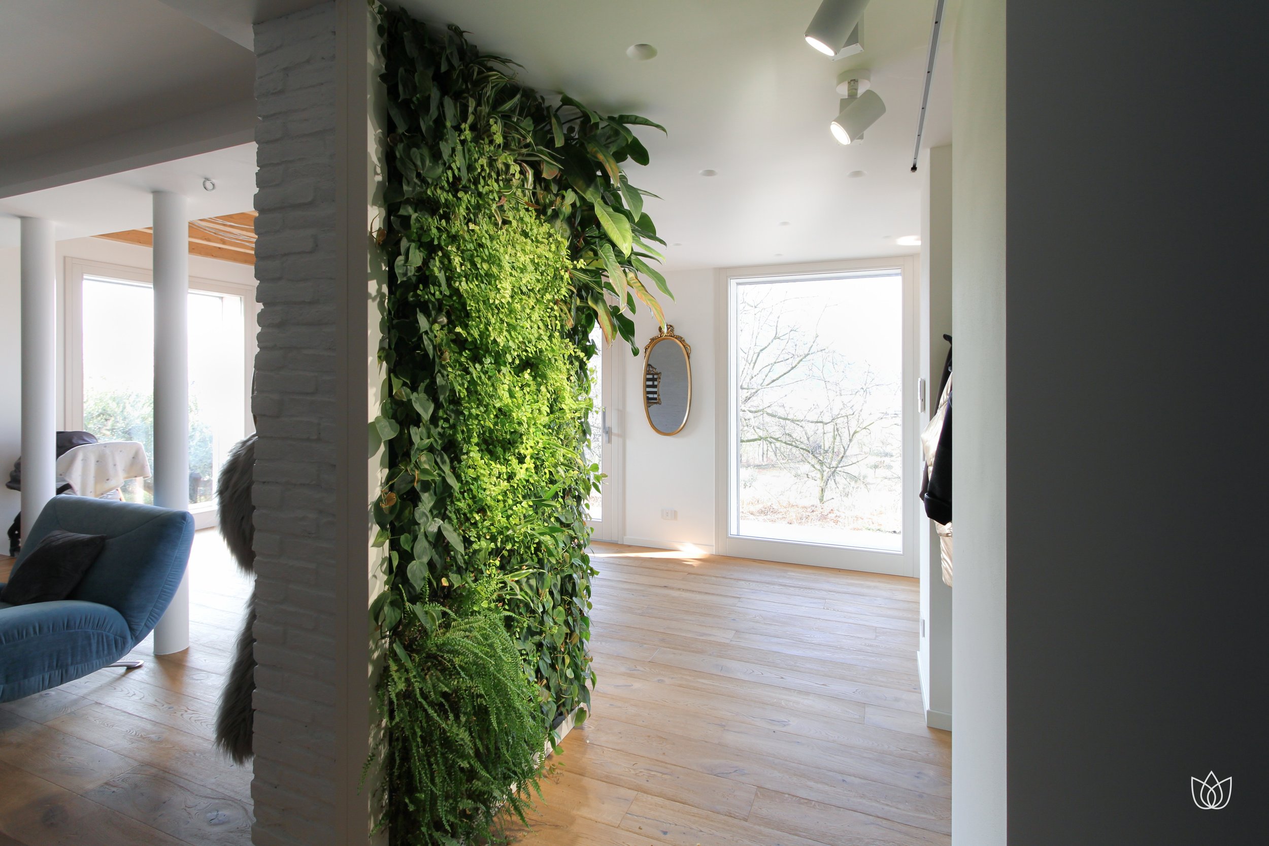 Interior of a bright house with green wall of plants, large windows and wooden floor
