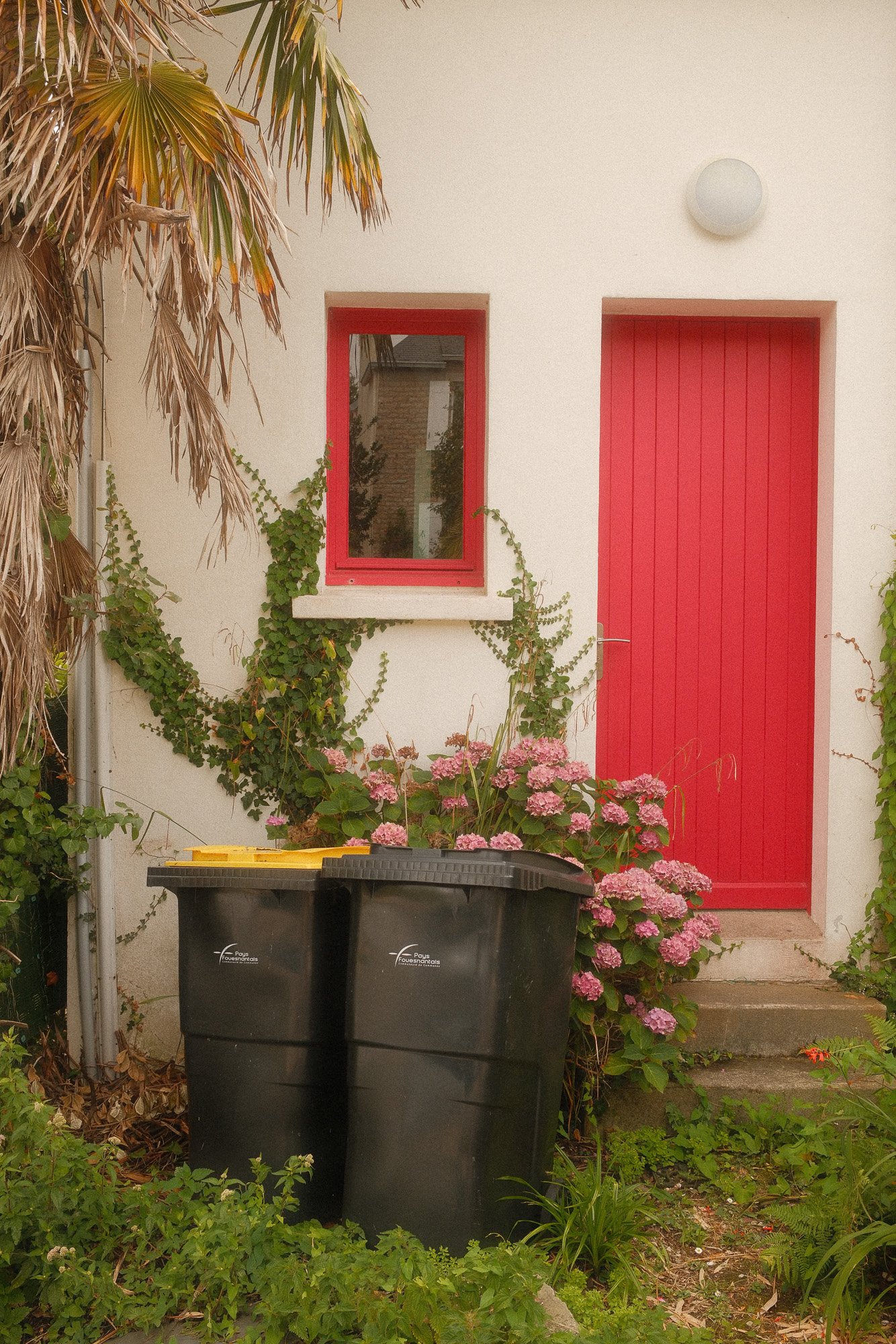 Fujifilm X100VI Street Landscape photography-39.jpg