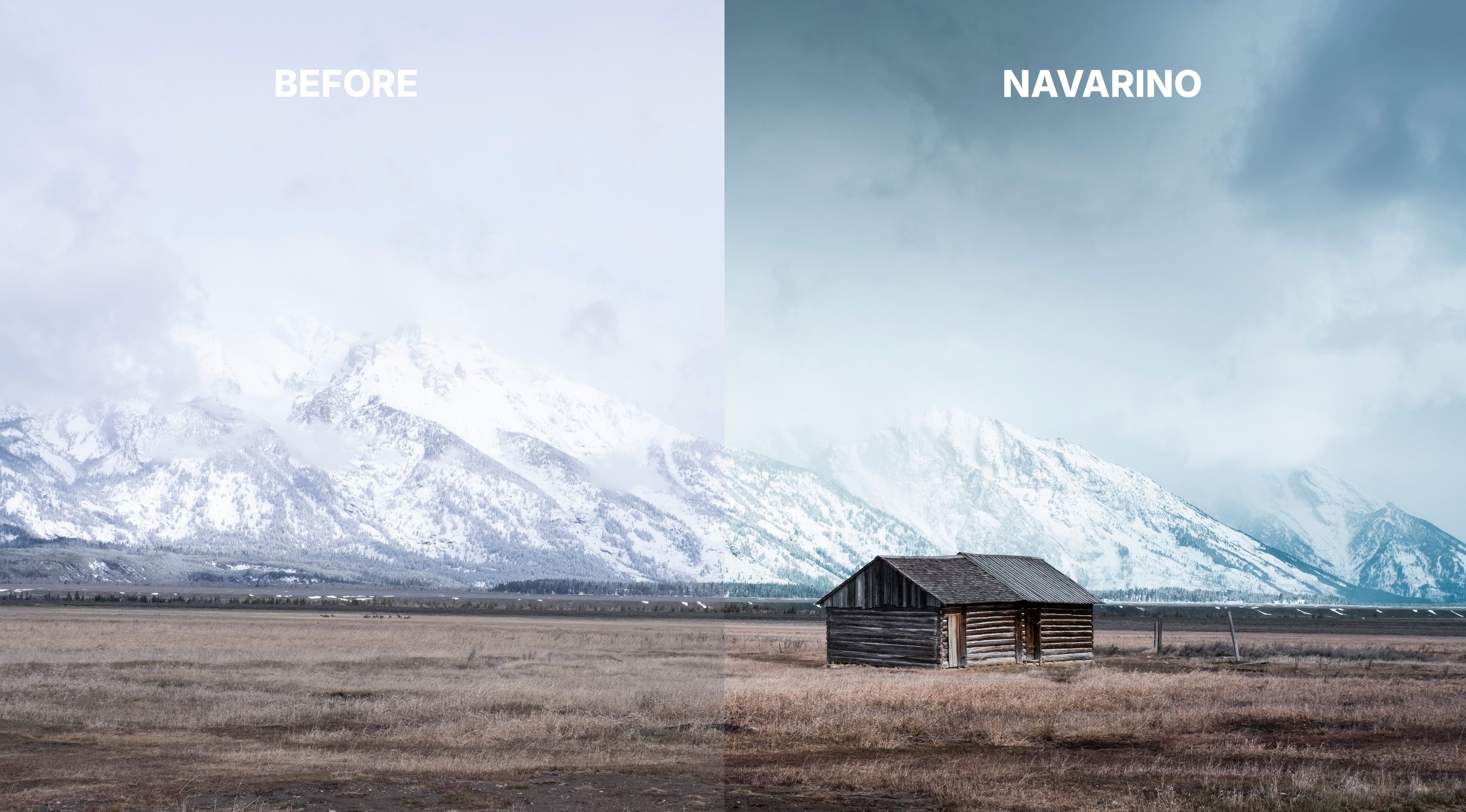 NAVARINO CHANGE.jpg