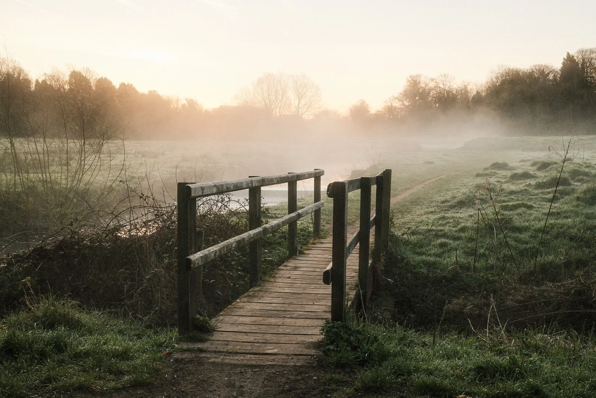 Fujifilm X100VI Street Landscape photography-2.jpg