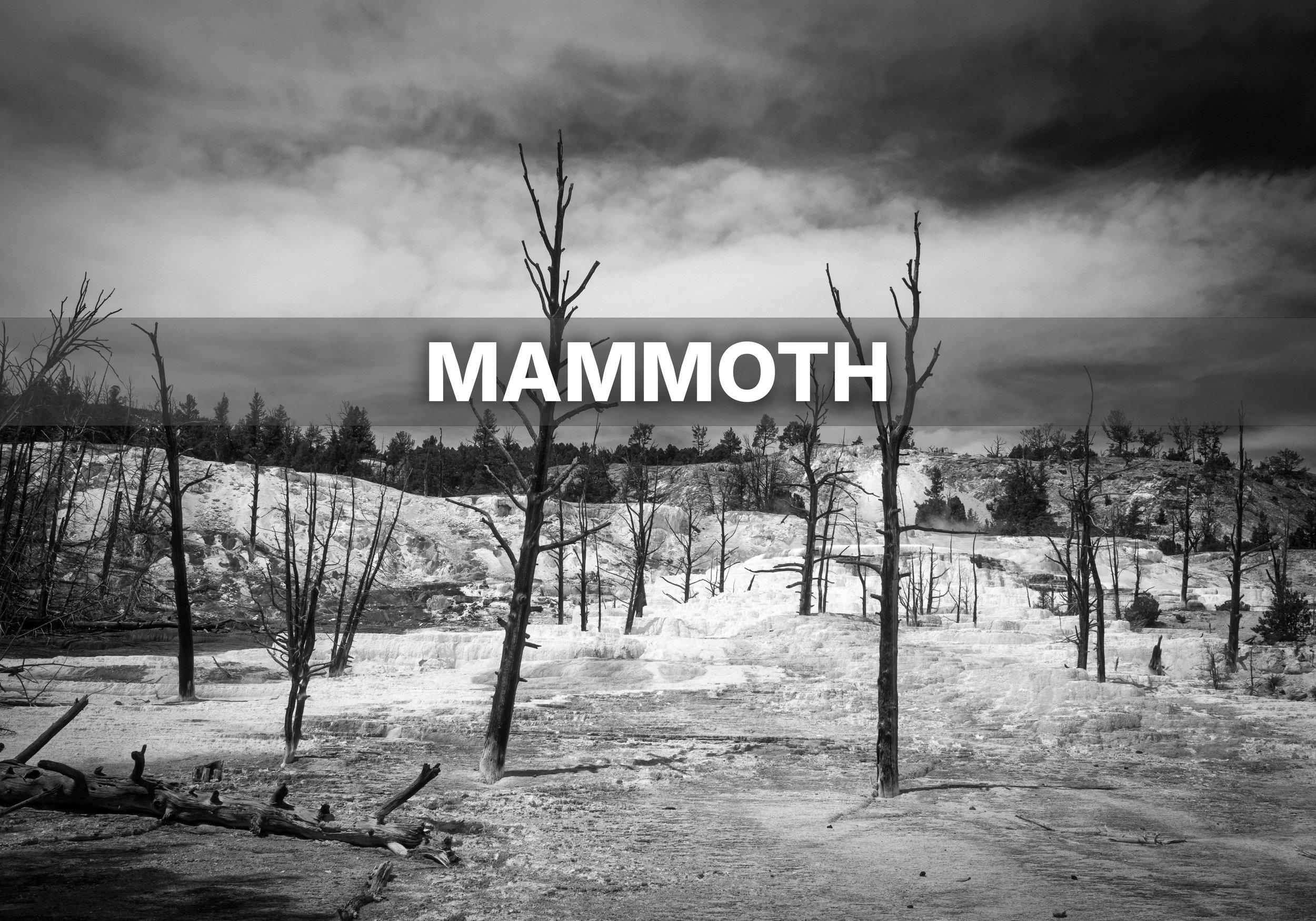 MAMMOTH.jpg