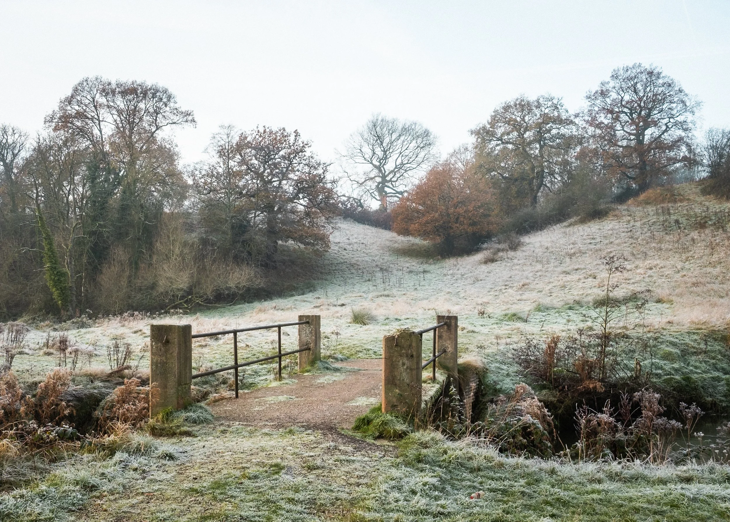 Stop planning all your photography (and do this instead)