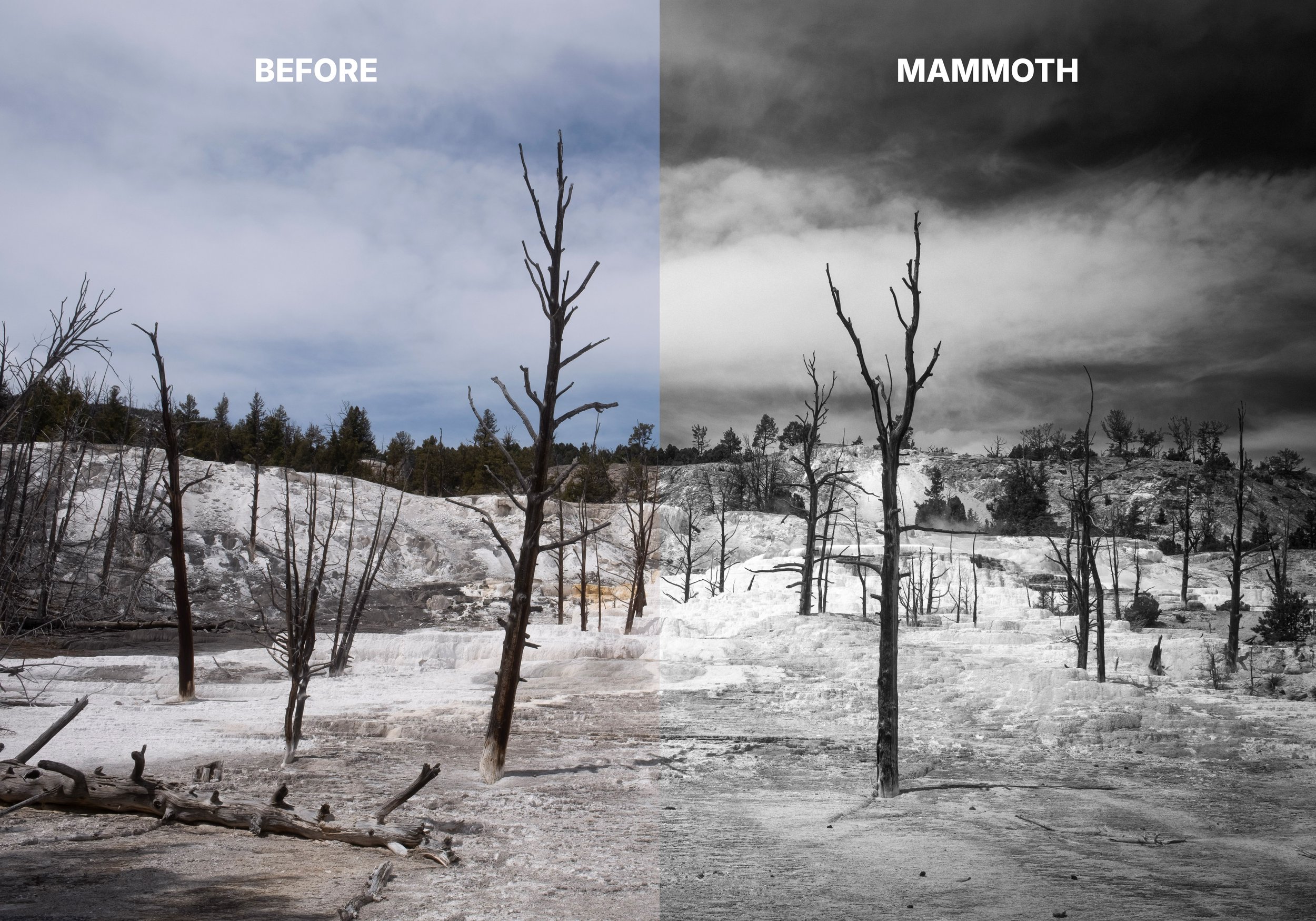 MAMMOTH CHANGE.jpg