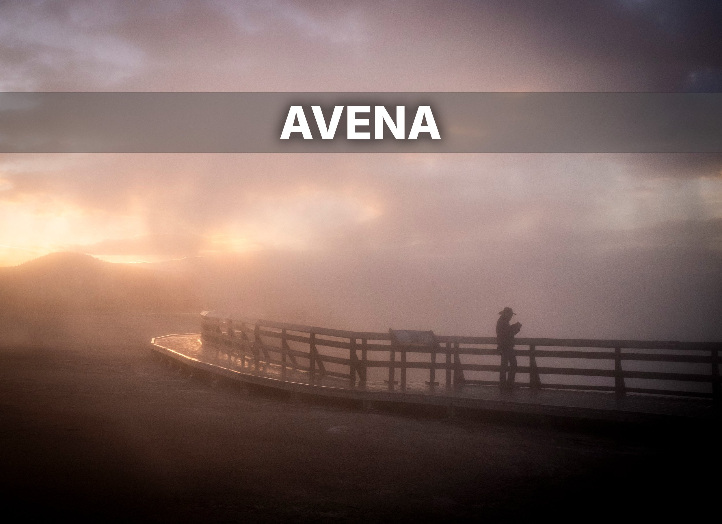 AVENA.jpg