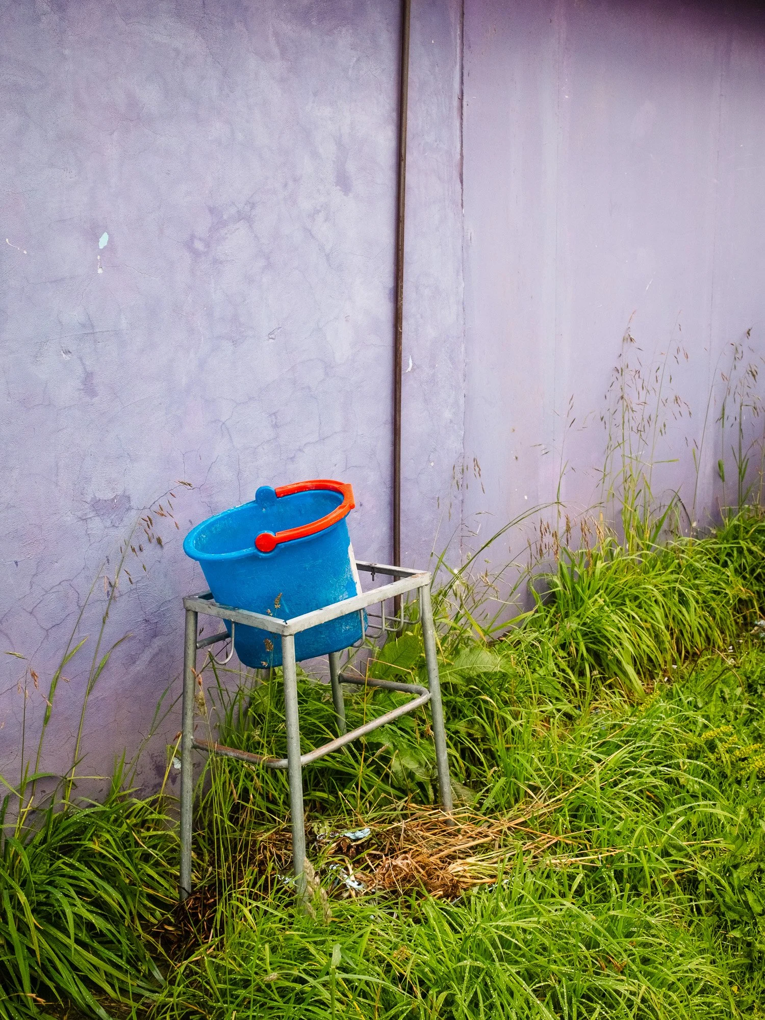 Fujifilm X100VI Street Landscape photography-105.jpg