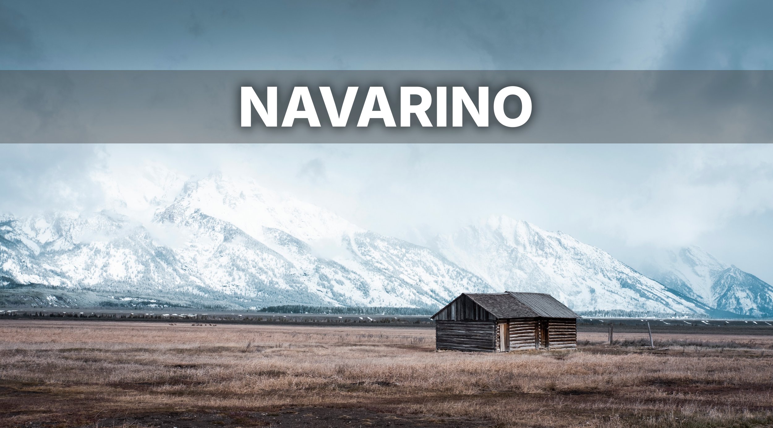 NAVARINO.jpg