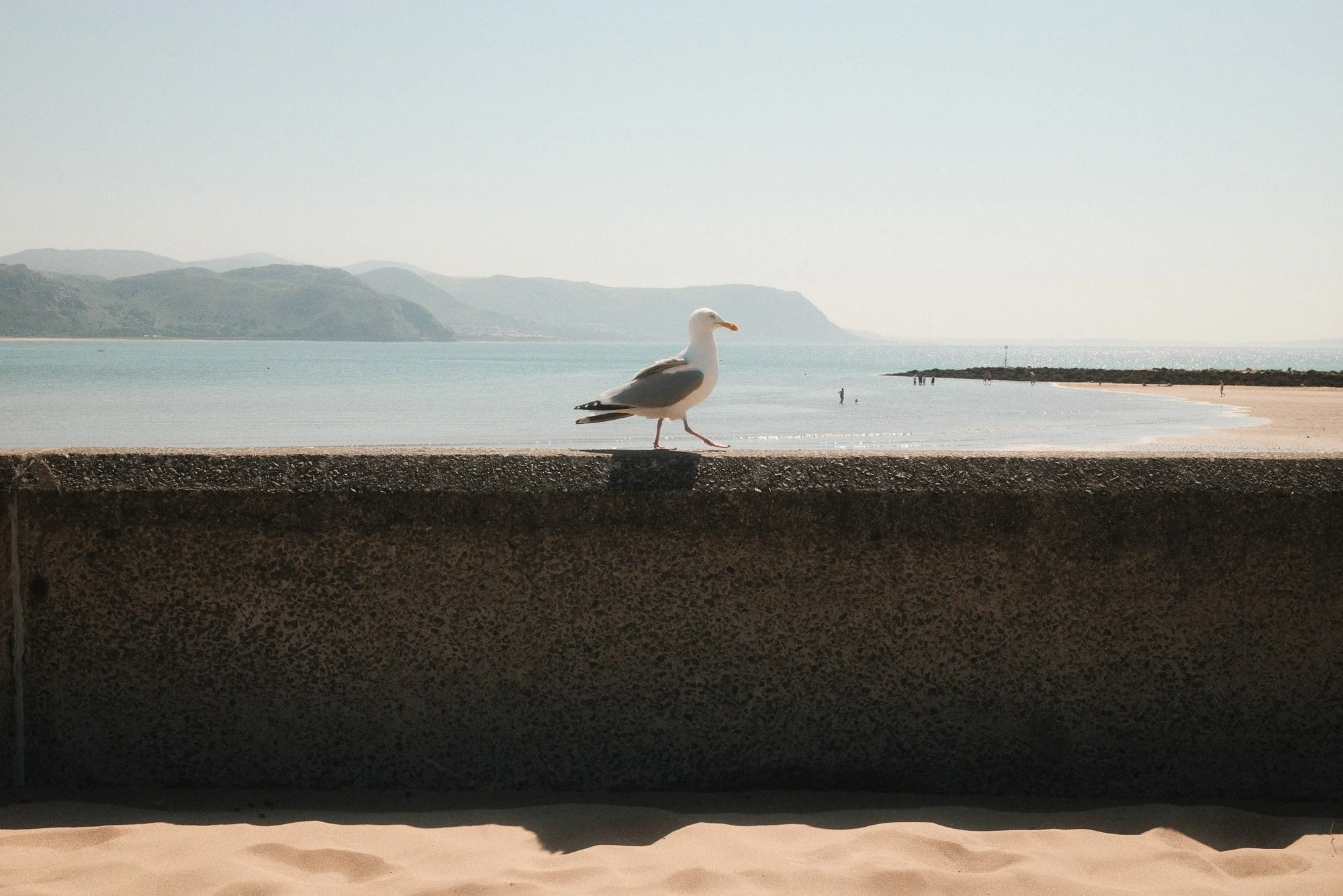 Fujifilm X100VI Street Landscape photography-30.jpg