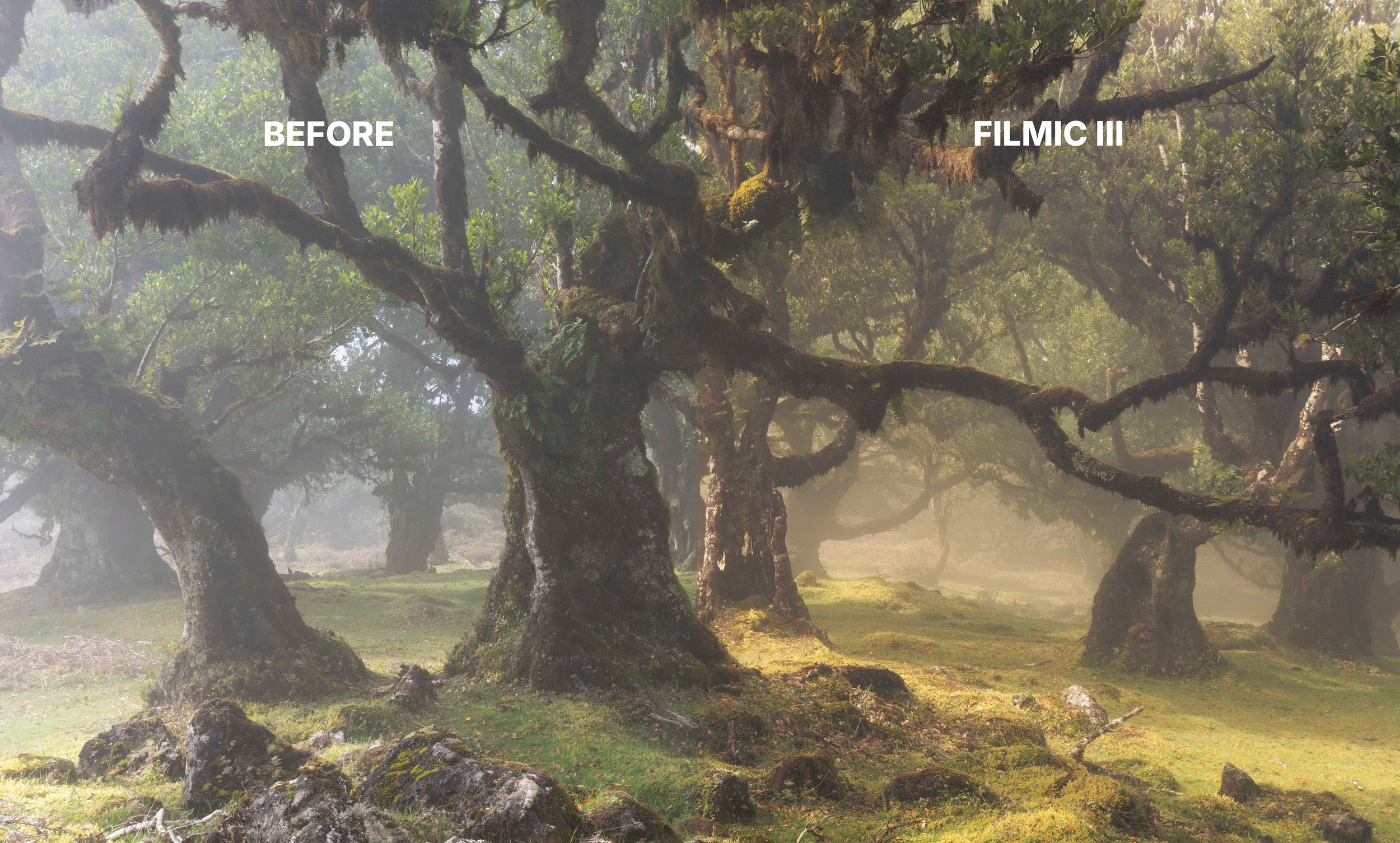 FILMIC III CHANGE.jpg