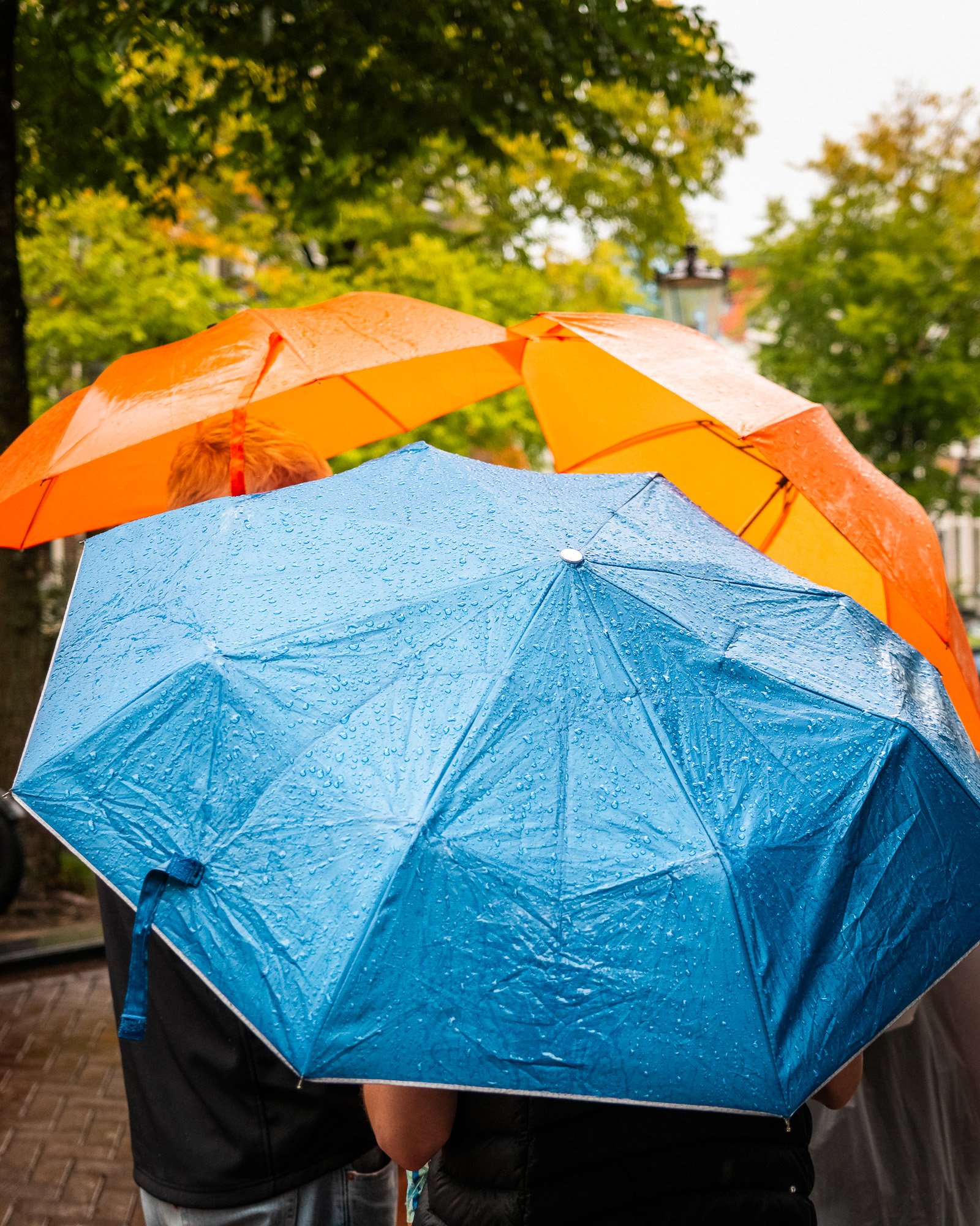 Fujifilm X100VI Street Landscape photography-76.jpg