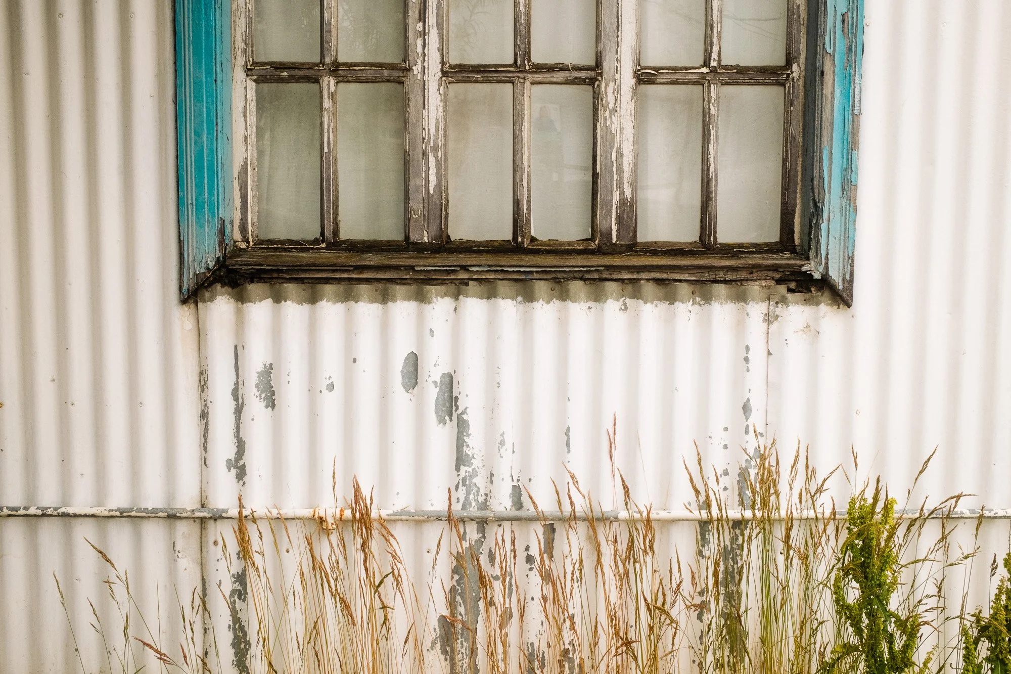 Fujifilm X100VI Street Landscape photography-109.jpg