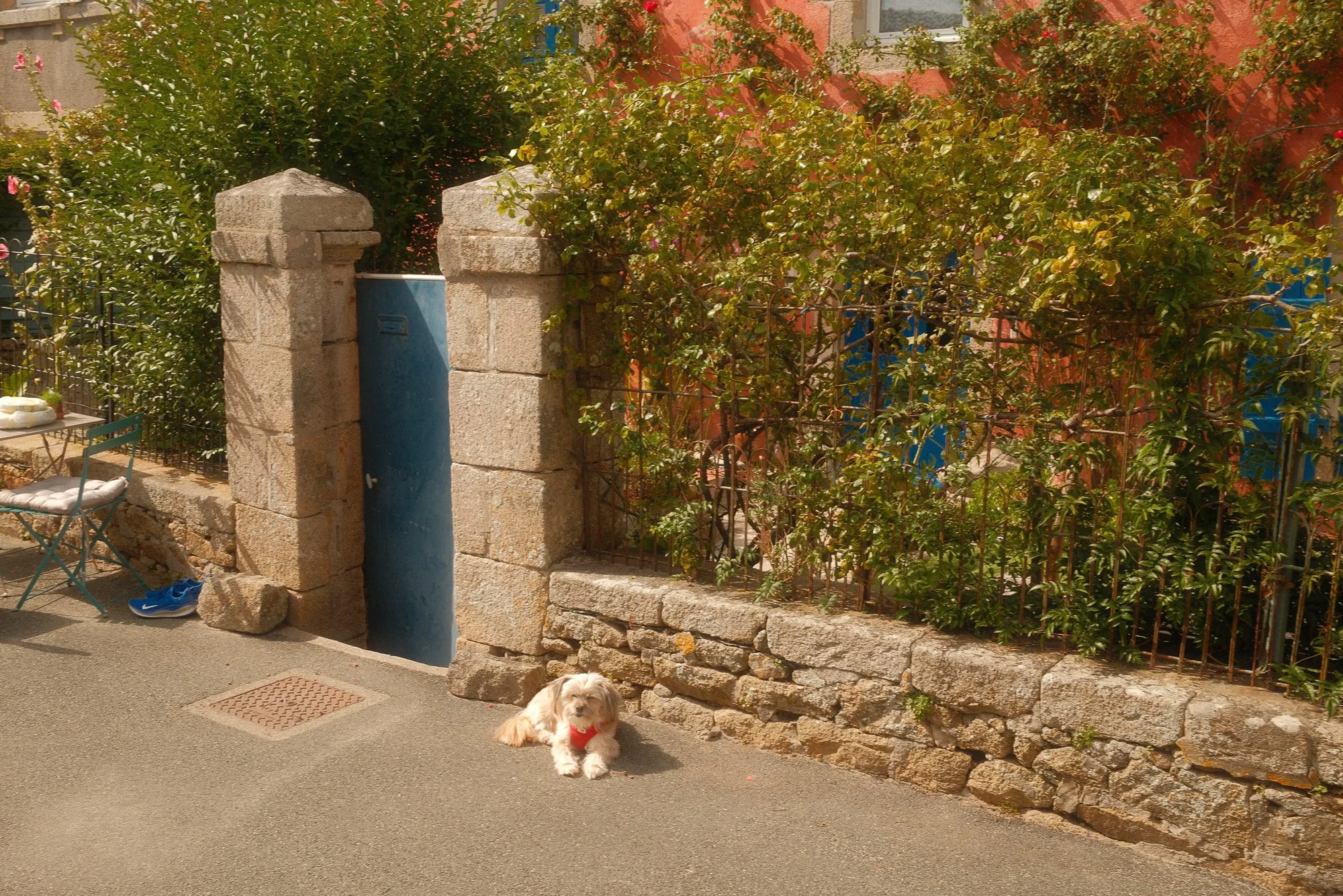 Fujifilm X100VI Street Landscape photography-42.jpg