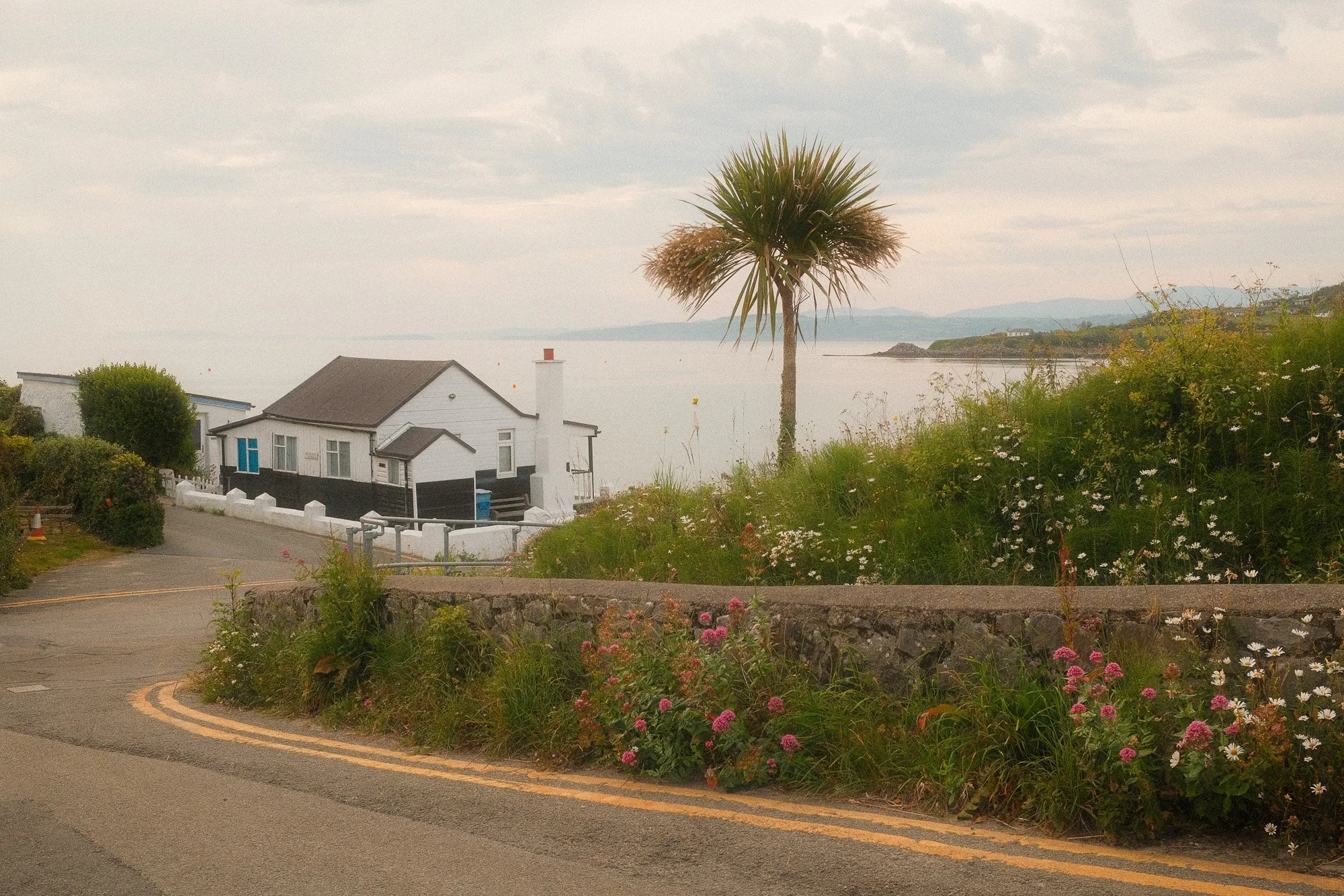 Fujifilm X100VI Street Landscape photography-34.jpg