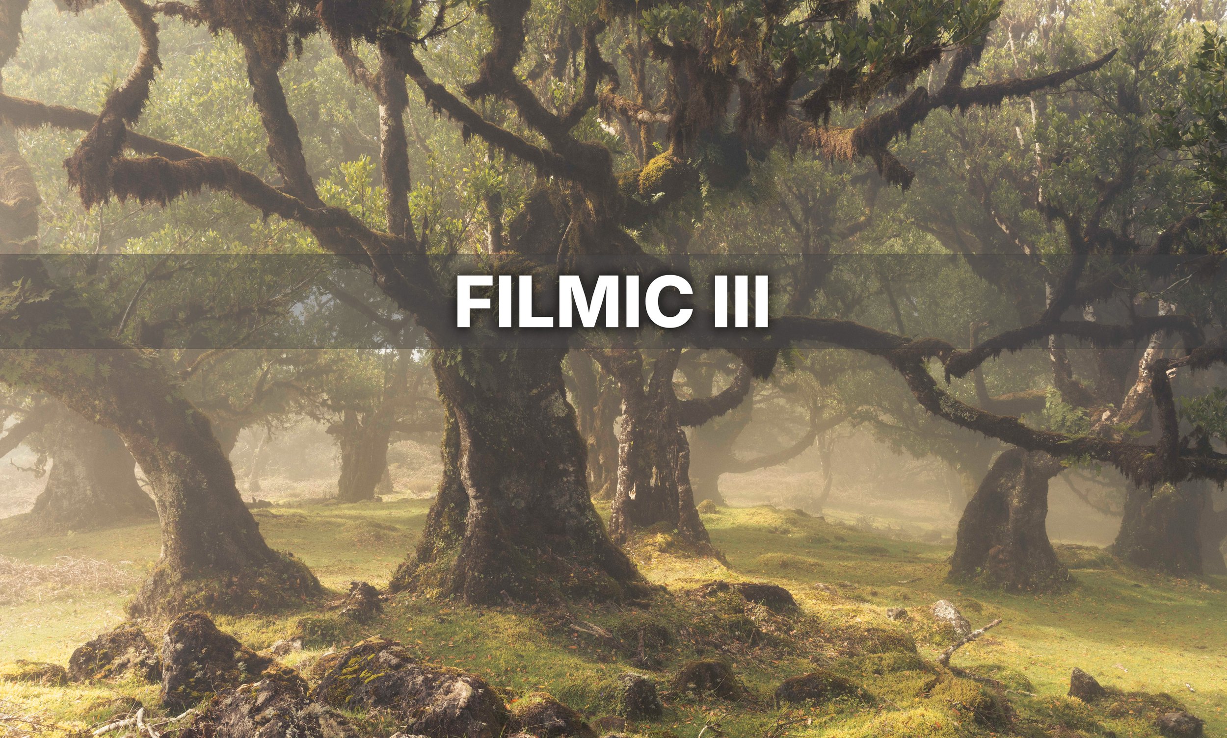 FILMIC III.jpg