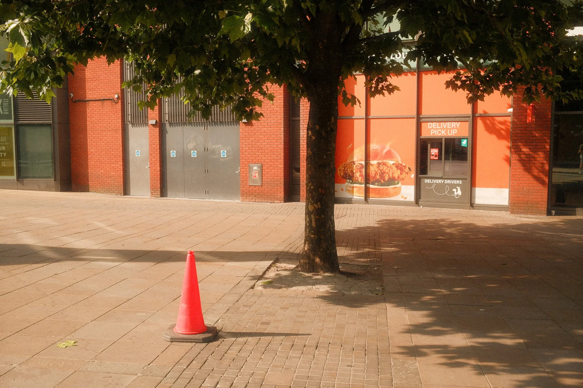 Fujifilm X100VI Street Landscape photography-35.jpg