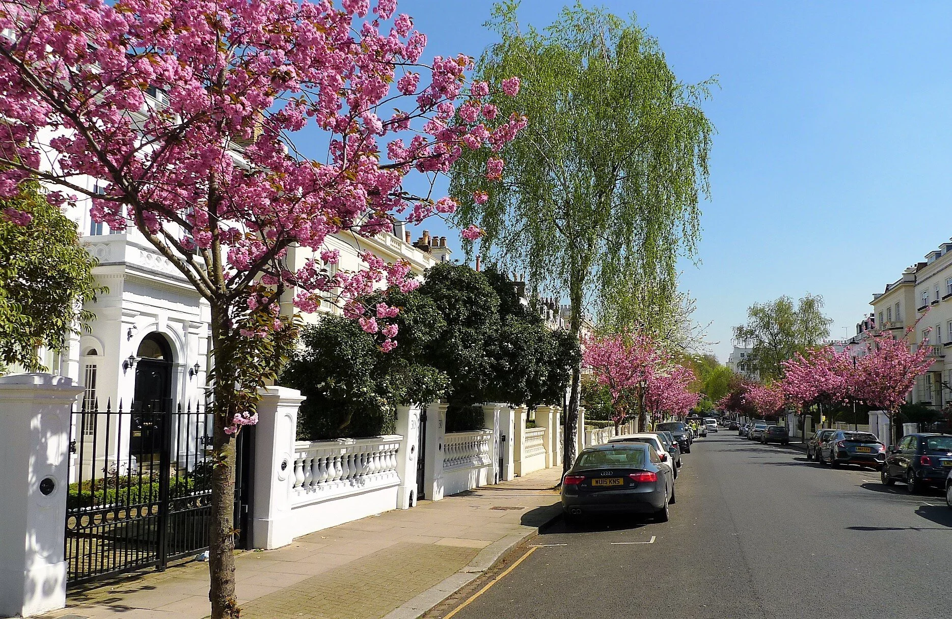 Pembridge Blossoms2.JPG