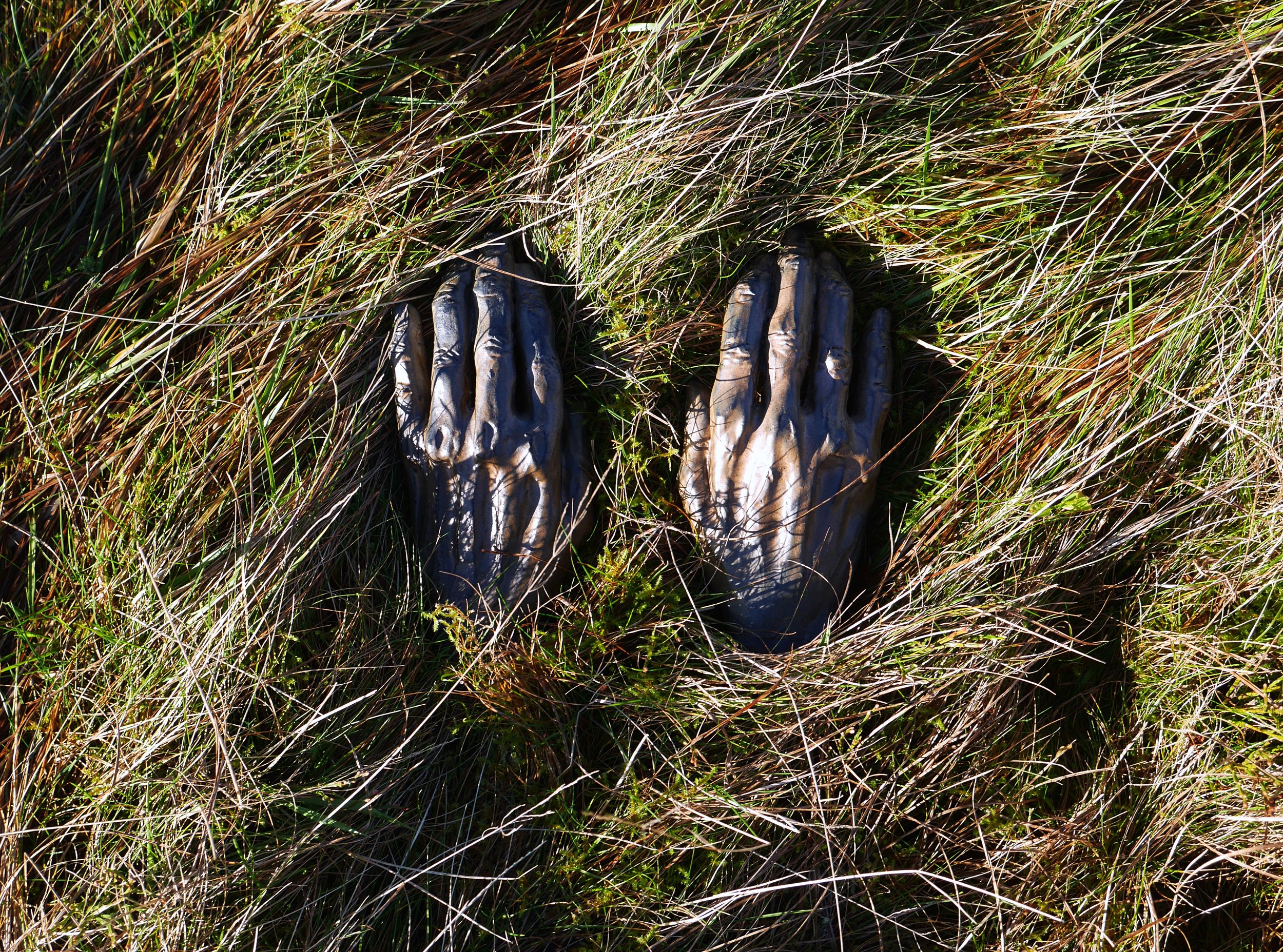 hands in grass.JPG