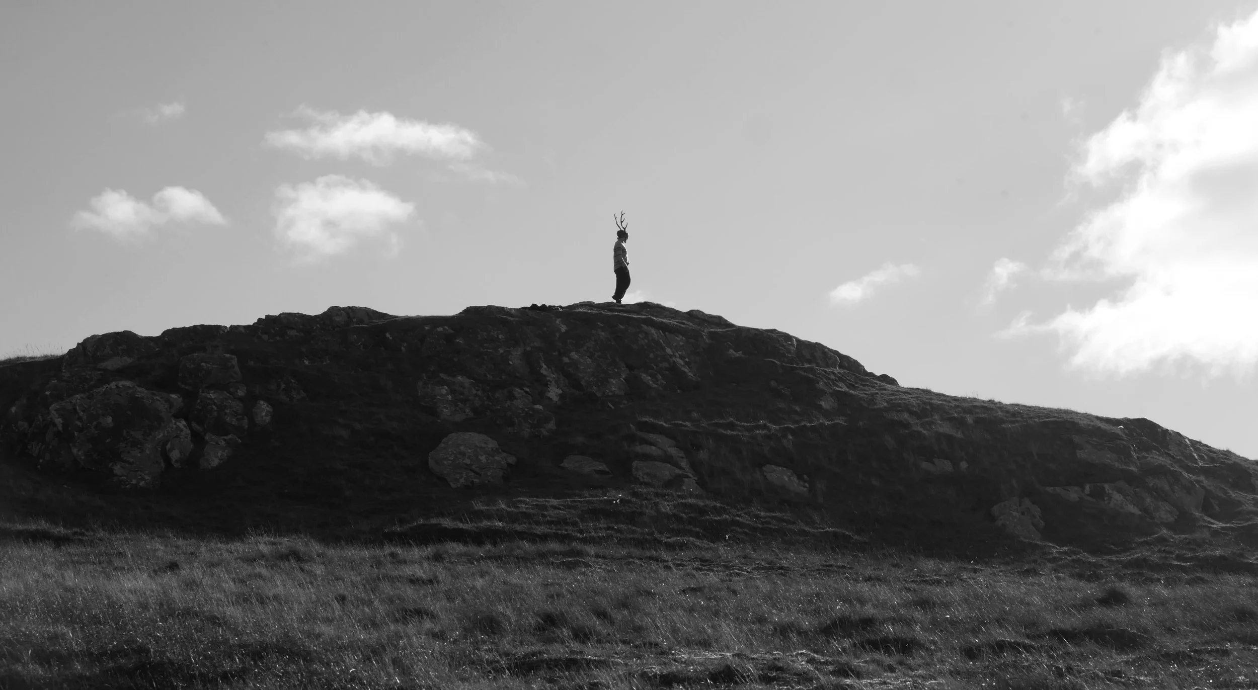 hilltop deer bw.jpg